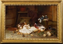 Patos y palomas en el interior de un granero