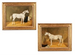 "Nautilus" y "El Ameer" - caballos árabes