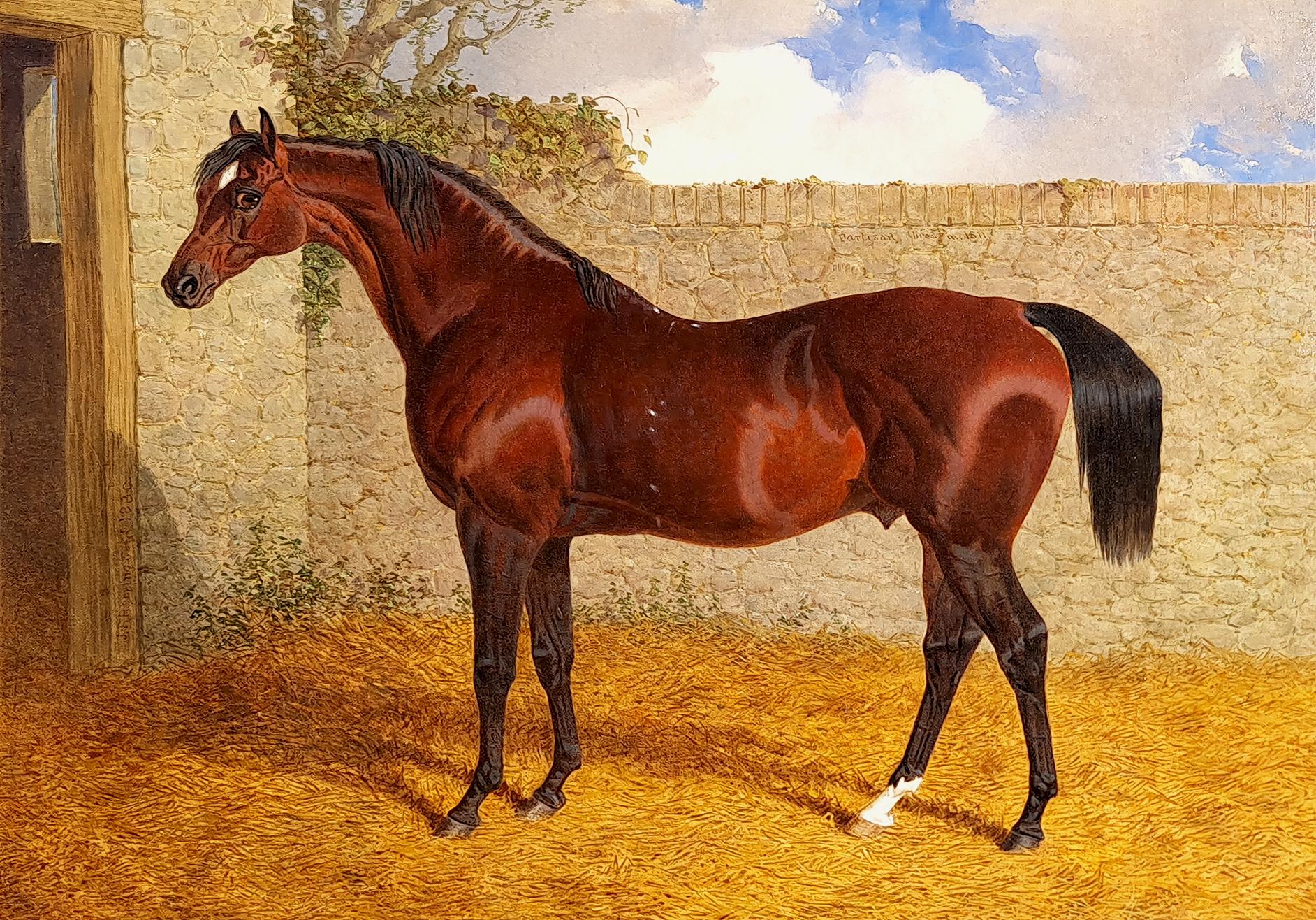 'Partisan' in a Stable Yard - Painting by John Frederick Herring Sr.