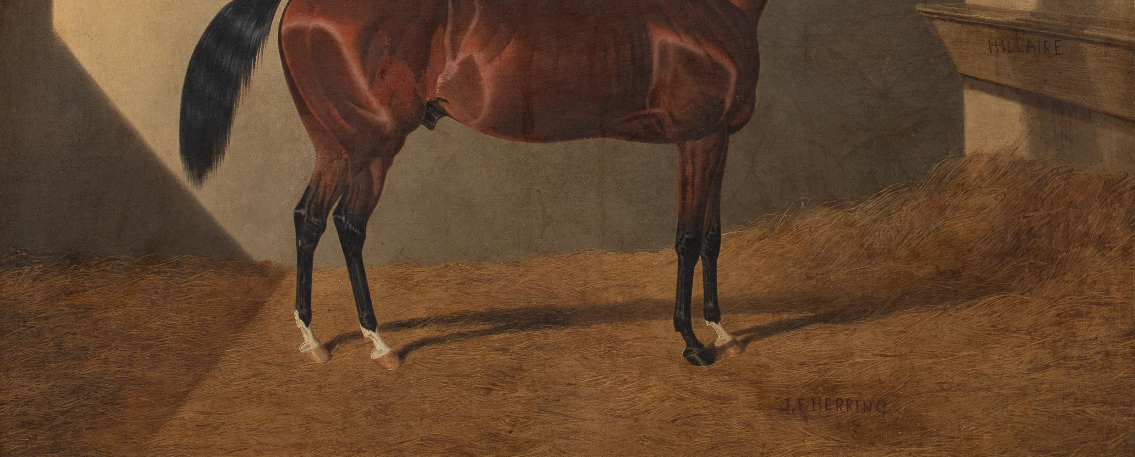 Portrait of Race Horse Hillaire In A Stable, 19th Century JOHN FREDERICK HERRING For Sale 7