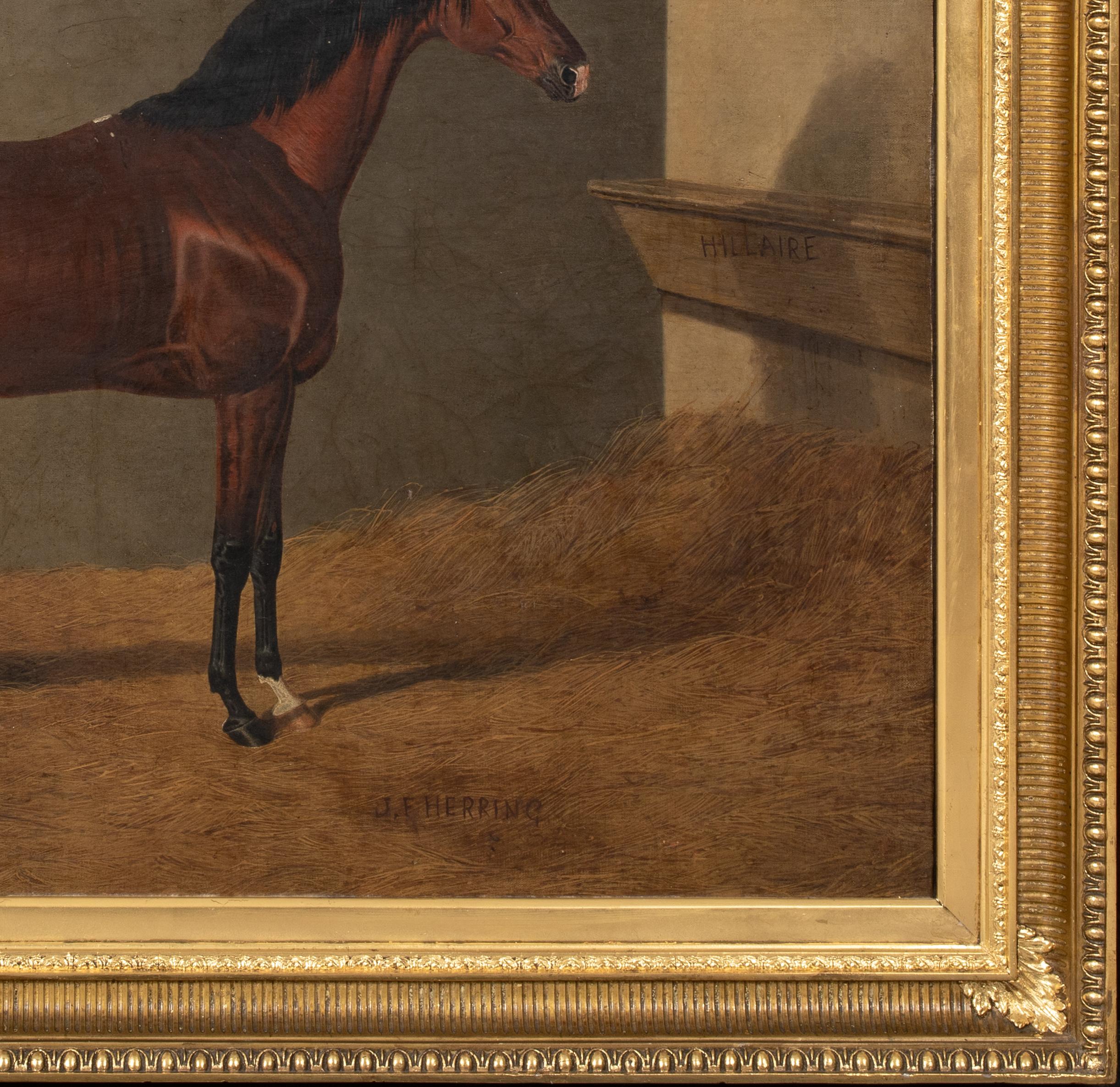 Portrait of Race Horse Hillaire In A Stable, 19th Century JOHN FREDERICK HERRING For Sale 1