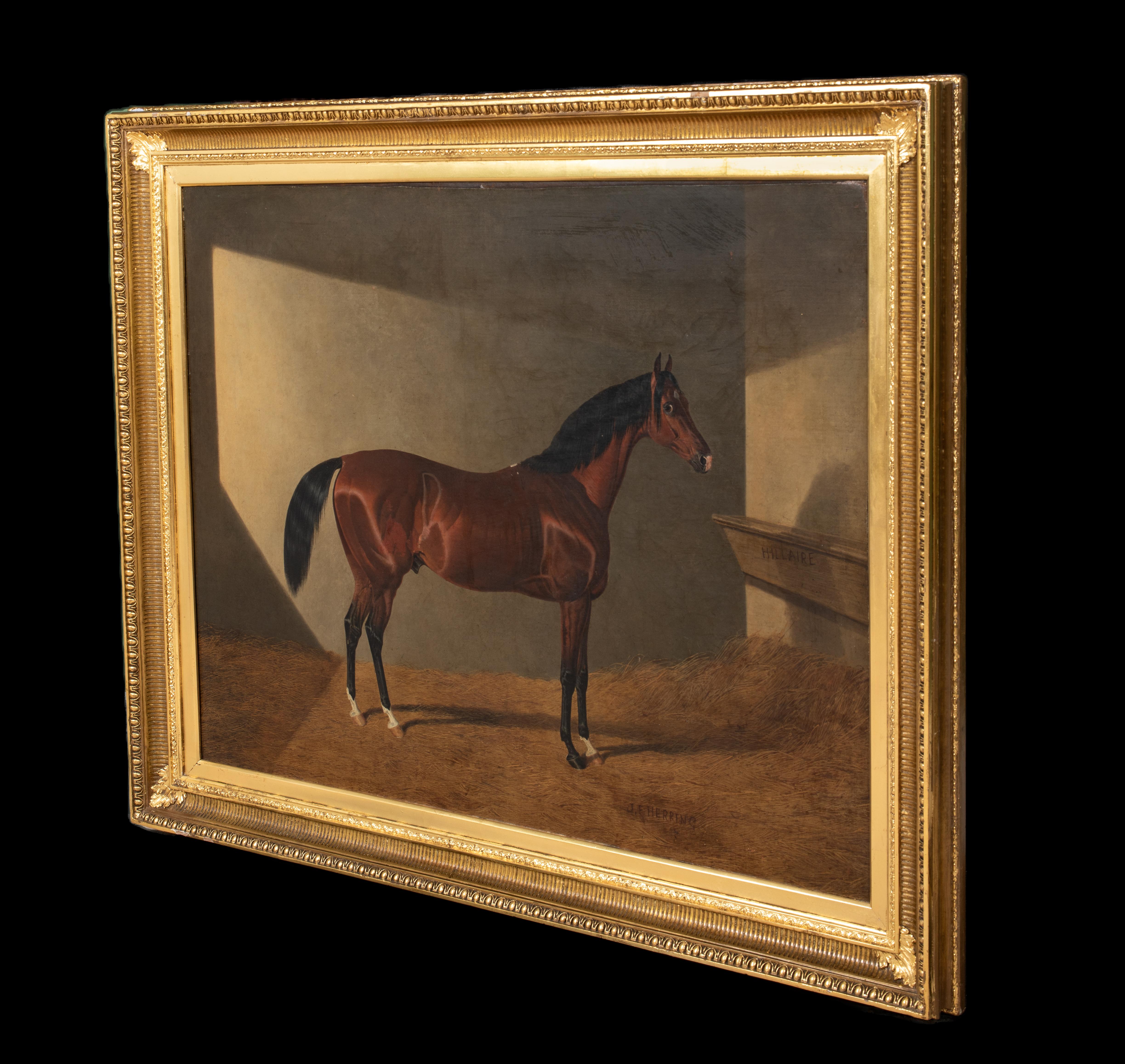 Portrait of Race Horse Hillaire In A Stable, 19th Century JOHN FREDERICK HERRING For Sale 5