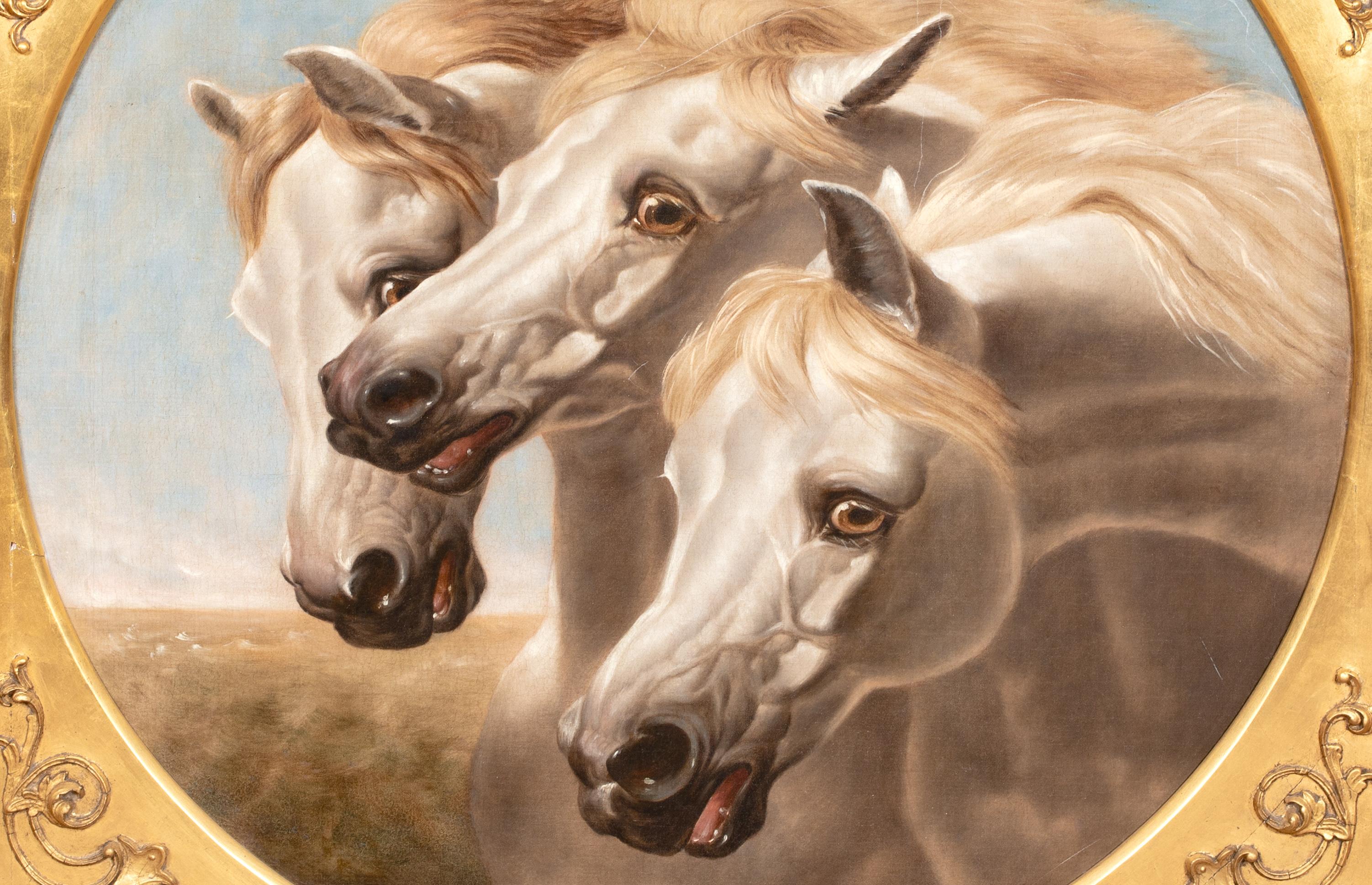 Retrato De Caballos Árabes Blancos Siglo XIX  círculo de JOHN FREDERICK HERRING en venta 7