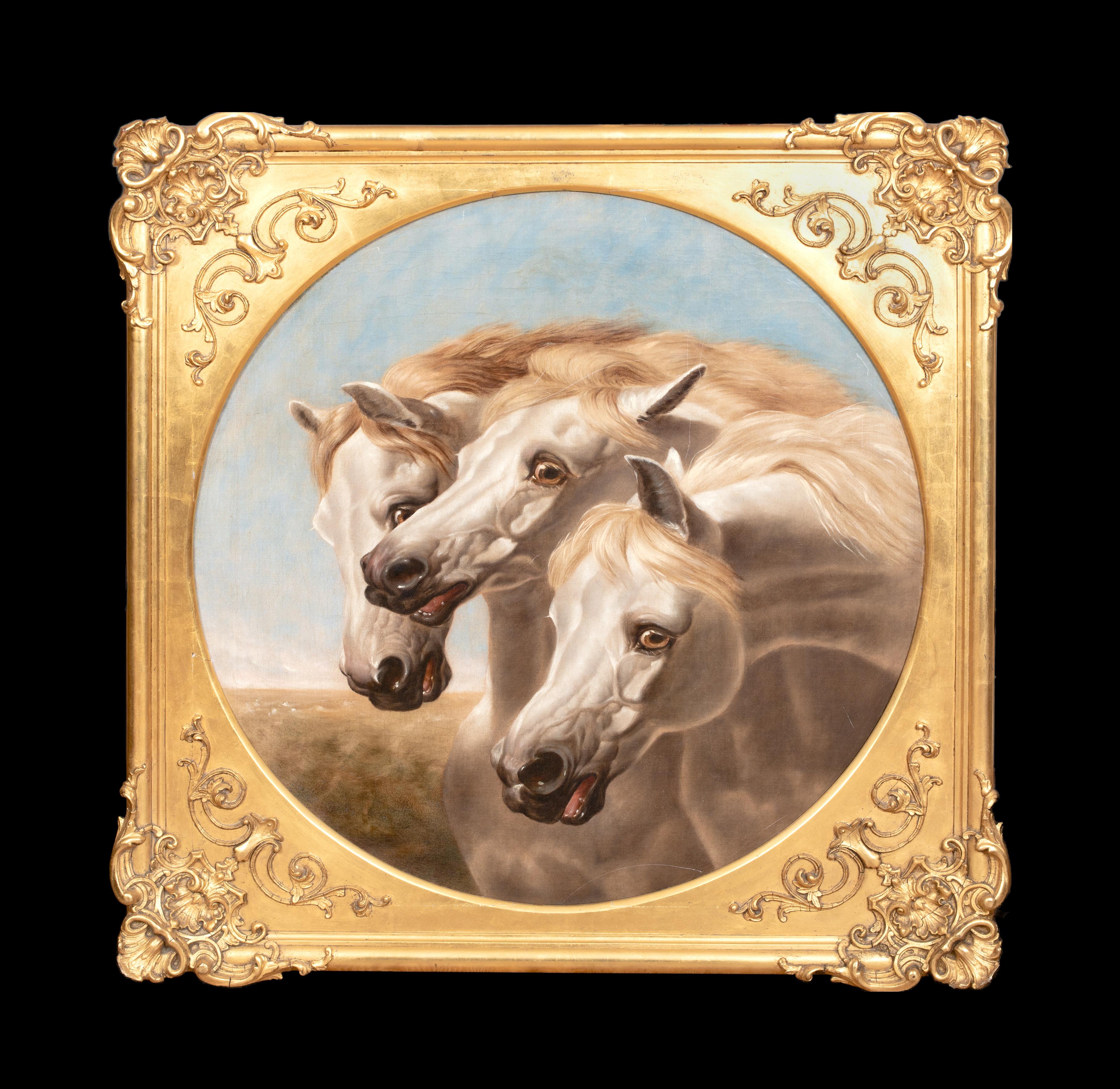 Retrato De Caballos Árabes Blancos Siglo XIX  círculo de JOHN FREDERICK HERRING - Painting de John Frederick Herring Sr.