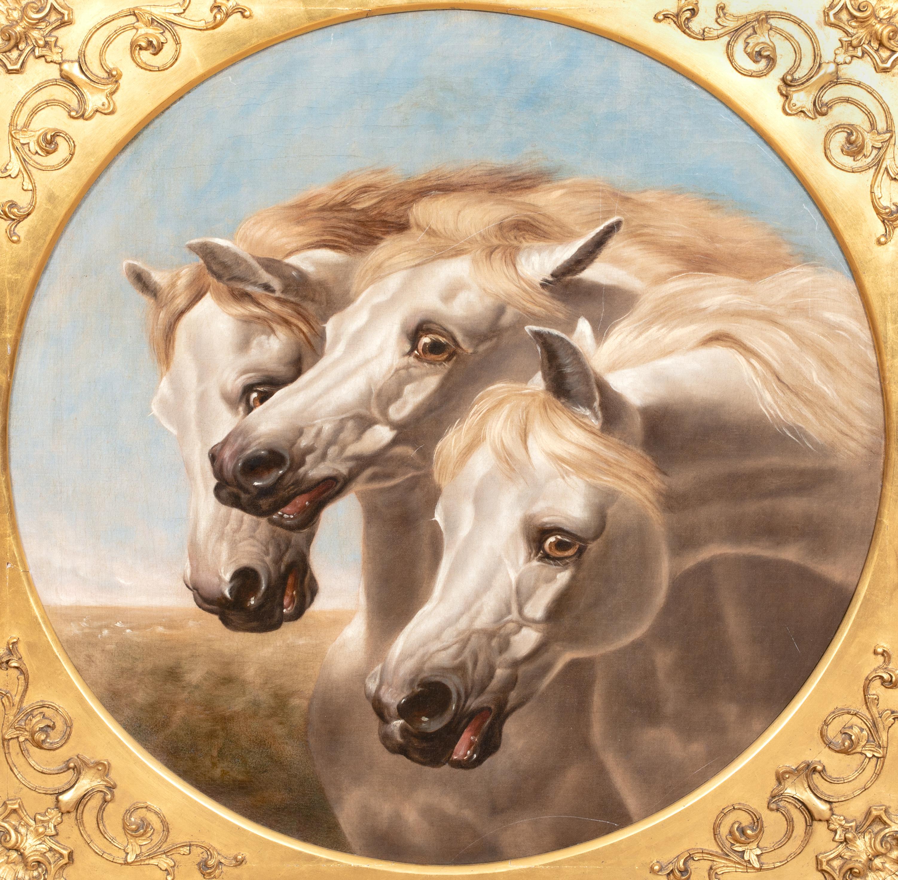 Retrato De Caballos Árabes Blancos Siglo XIX

Círculo de JOHN FREDERICK HERRING (1795-1856)

Gran estudio inglés del siglo XIX de tres caballos árabes blancos, óleo sobre lienzo. Estudio de excelente calidad y estado de las cabezas de tres árabes
