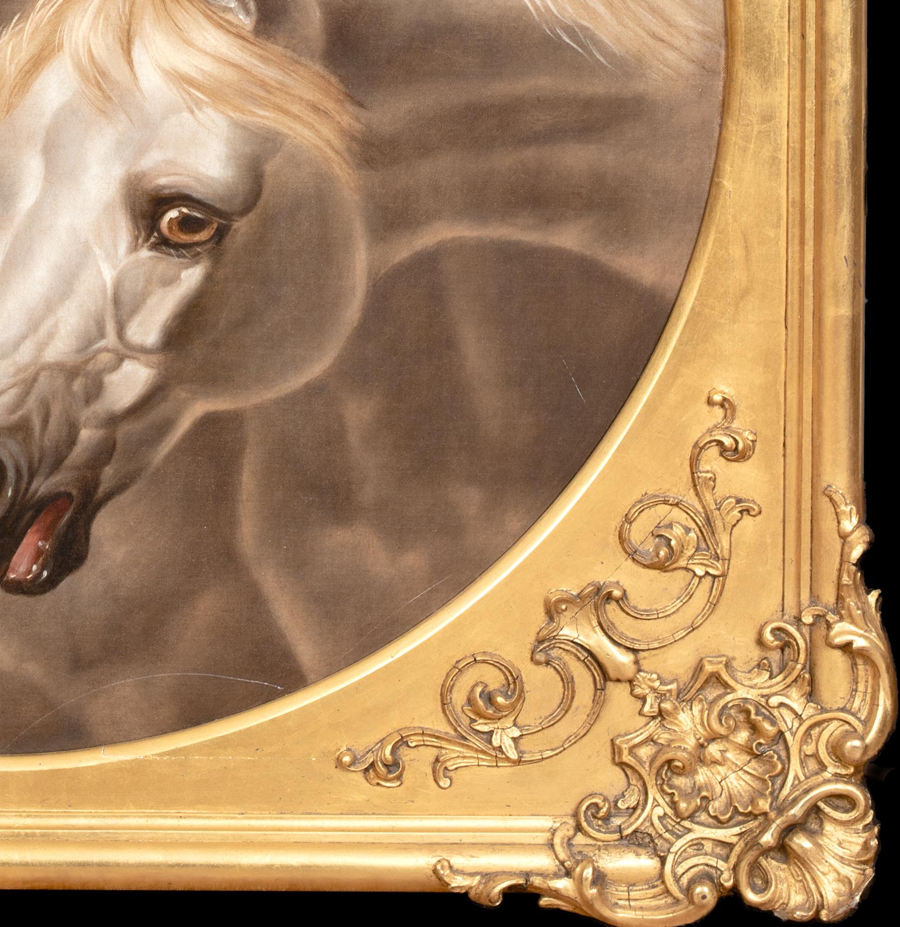 Retrato De Caballos Árabes Blancos Siglo XIX  círculo de JOHN FREDERICK HERRING en venta 1