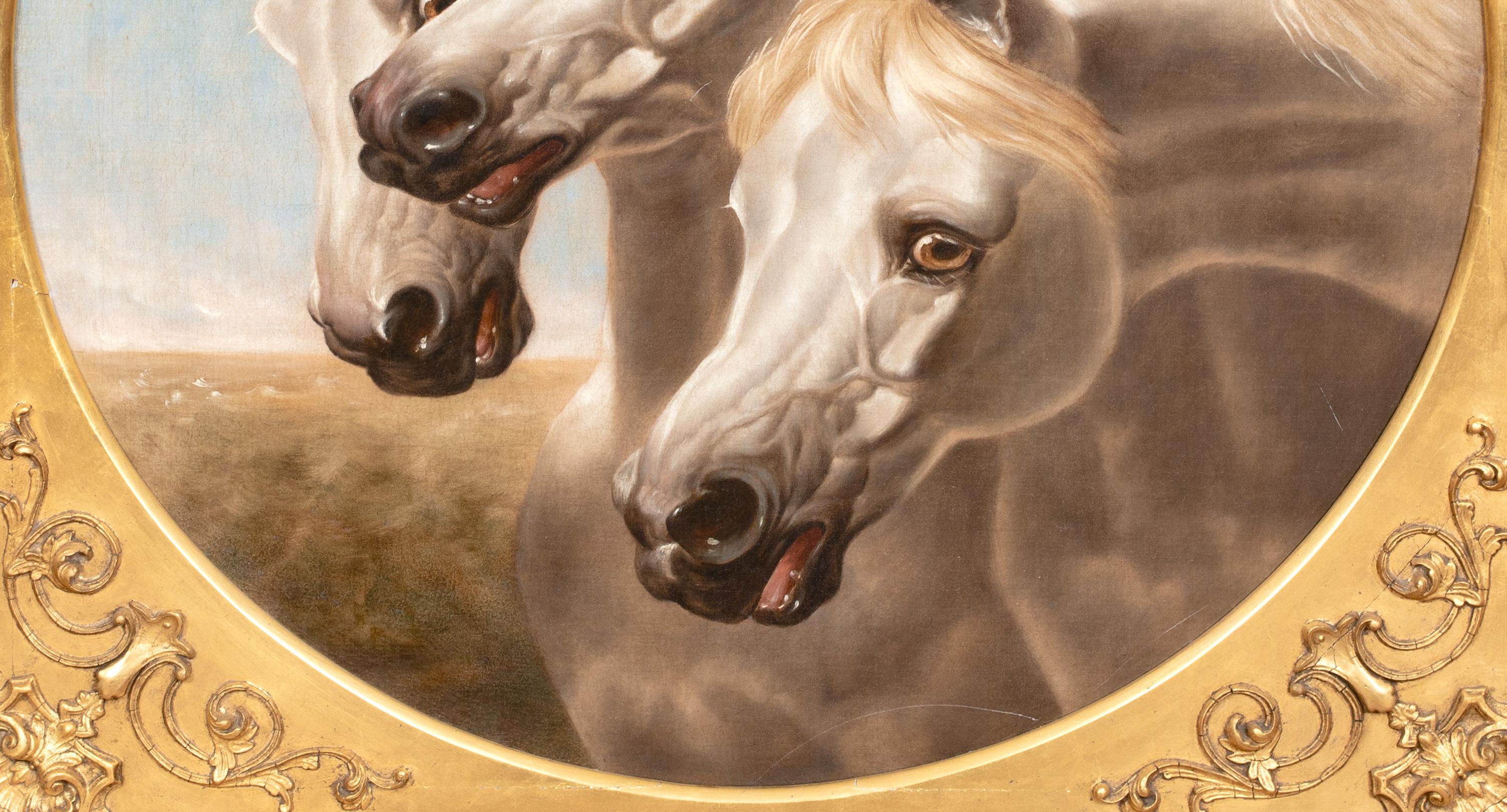 Retrato De Caballos Árabes Blancos Siglo XIX  círculo de JOHN FREDERICK HERRING en venta 2