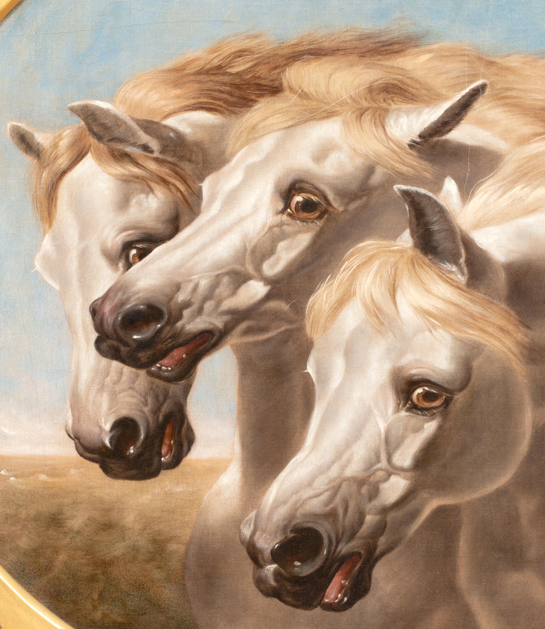 Retrato De Caballos Árabes Blancos Siglo XIX  círculo de JOHN FREDERICK HERRING en venta 4