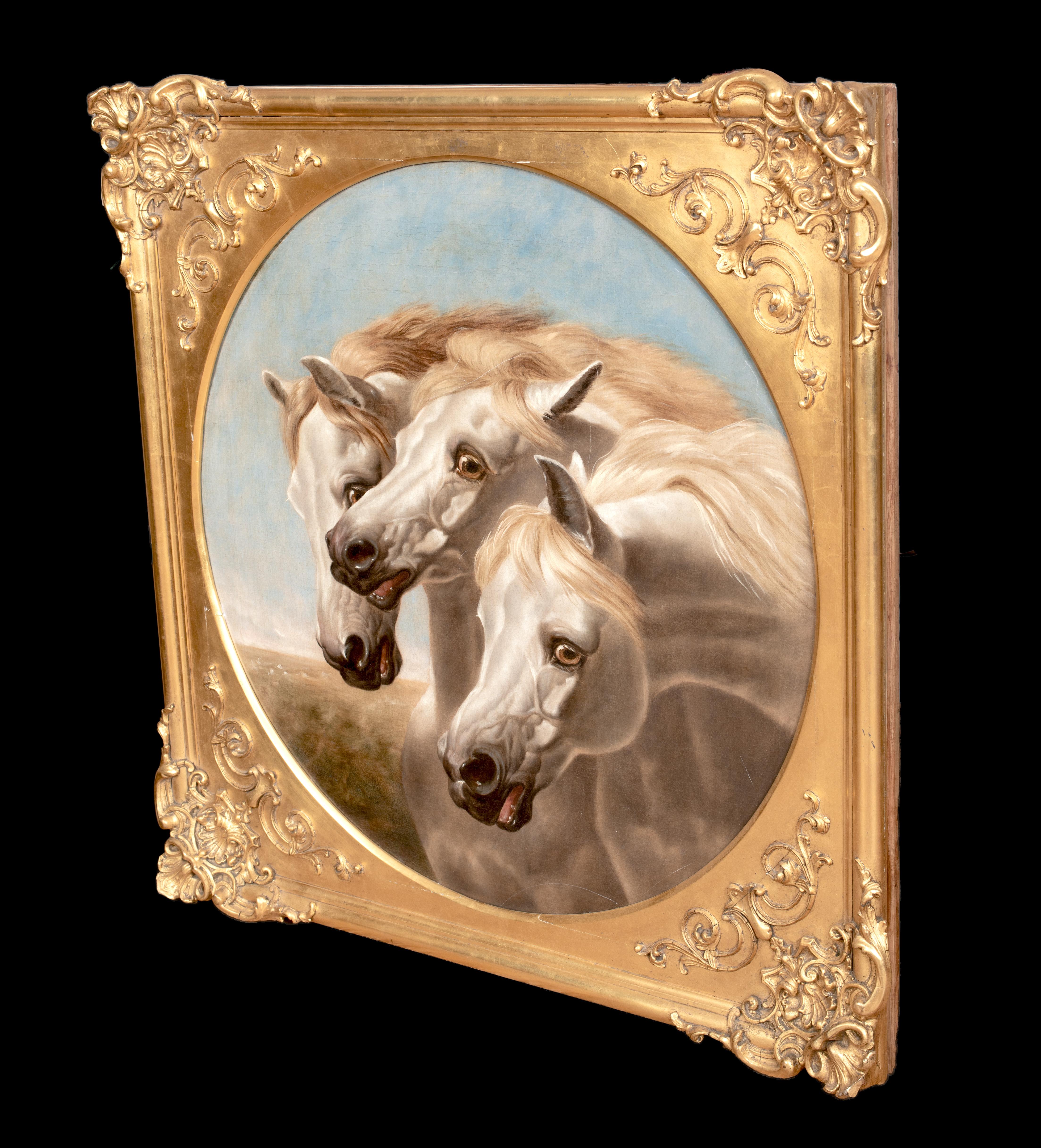 Retrato De Caballos Árabes Blancos Siglo XIX  círculo de JOHN FREDERICK HERRING en venta 5
