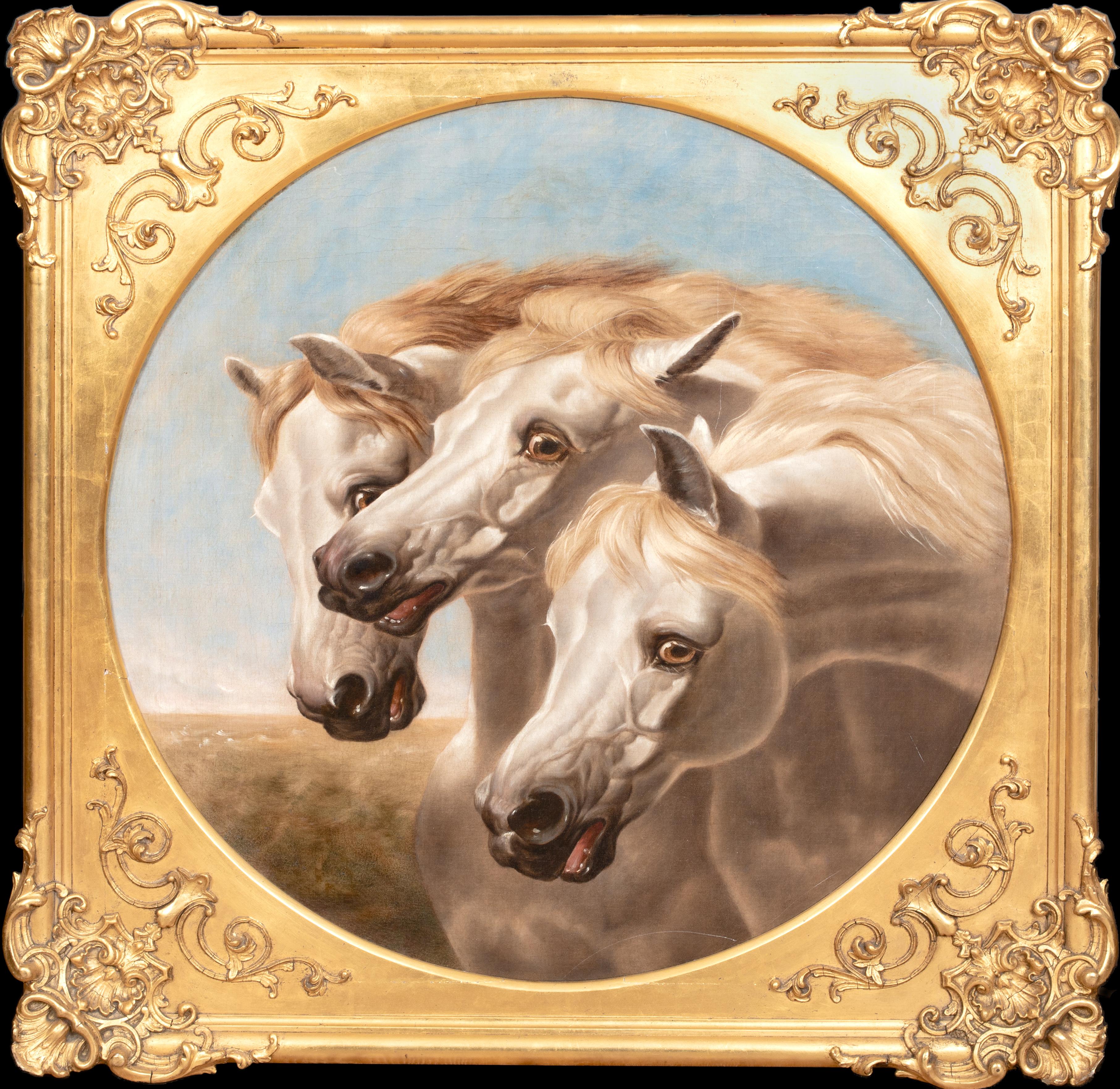 Animal Painting de John Frederick Herring Sr. - Retrato De Caballos Árabes Blancos Siglo XIX  círculo de JOHN FREDERICK HERRING