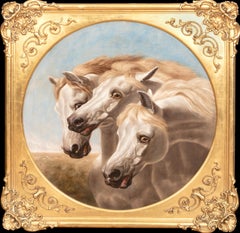 Portrait Of White Arabian Horses 19th Century  circle of JOHN FREDERICK HERRING
