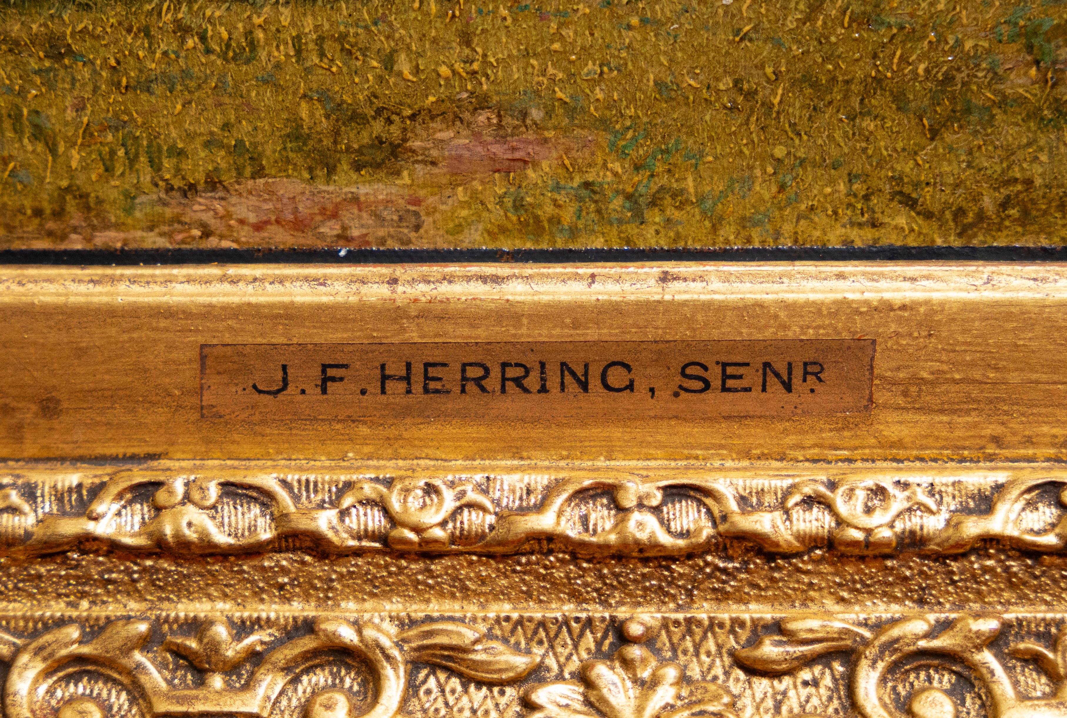 Le cheval de course de Galloping, John Frederick Herring Sr (1795-1865) - Painting de John Frederick Herring Sr.