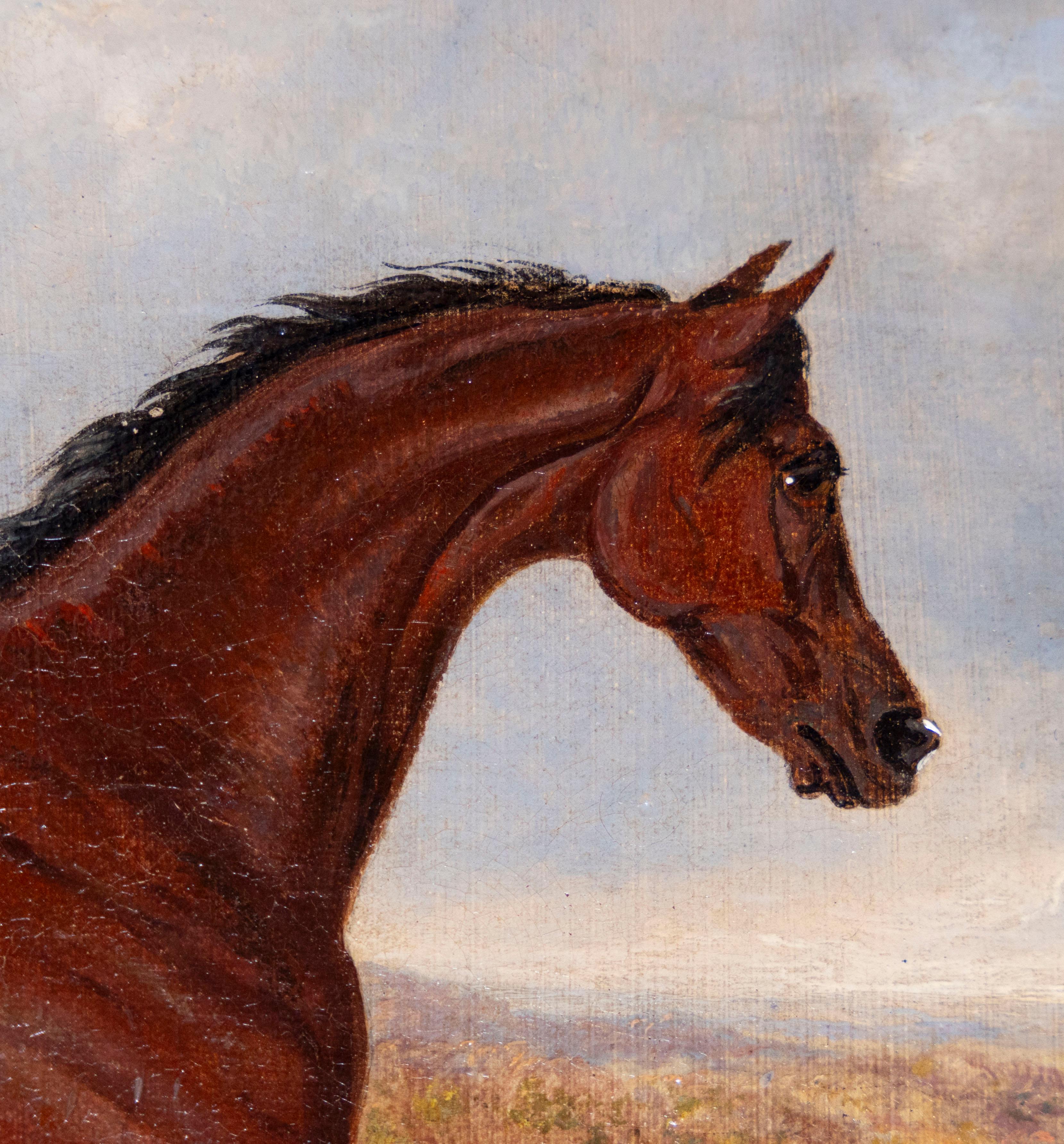 Le cheval de course de Galloping, John Frederick Herring Sr (1795-1865) - Beige Animal Painting par John Frederick Herring Sr.
