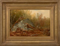Intérieur en bois avec des rochers – une étude