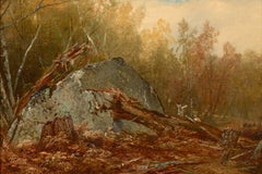 Intérieur en bois avec des rochers – une étude