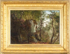 Bewaldete Landschaft mit Felsblöcken