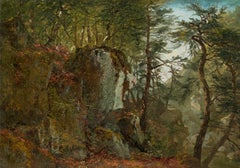 Paisaje arbolado con rocas