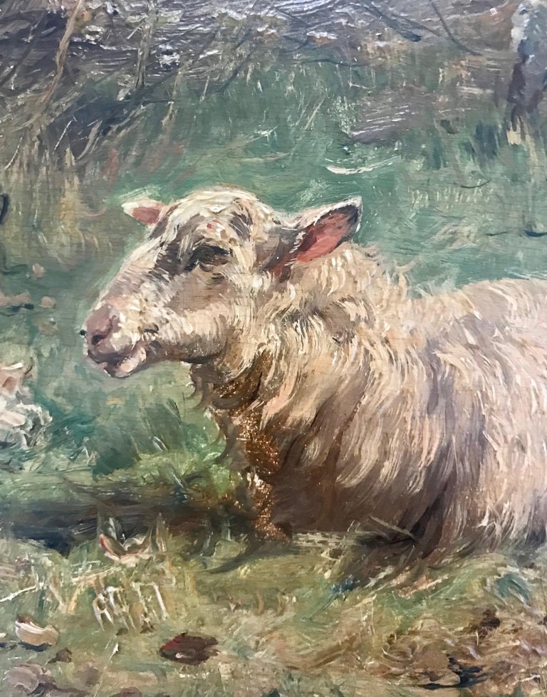 John Frederik Hulk II - Grazing Sheep For Sale 1