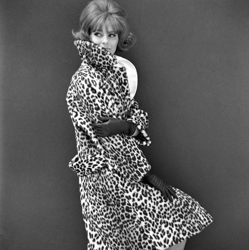 John French Black and White Photograph – V&A - John Französisch - Leoparden Lady - Limitierte Auflage 