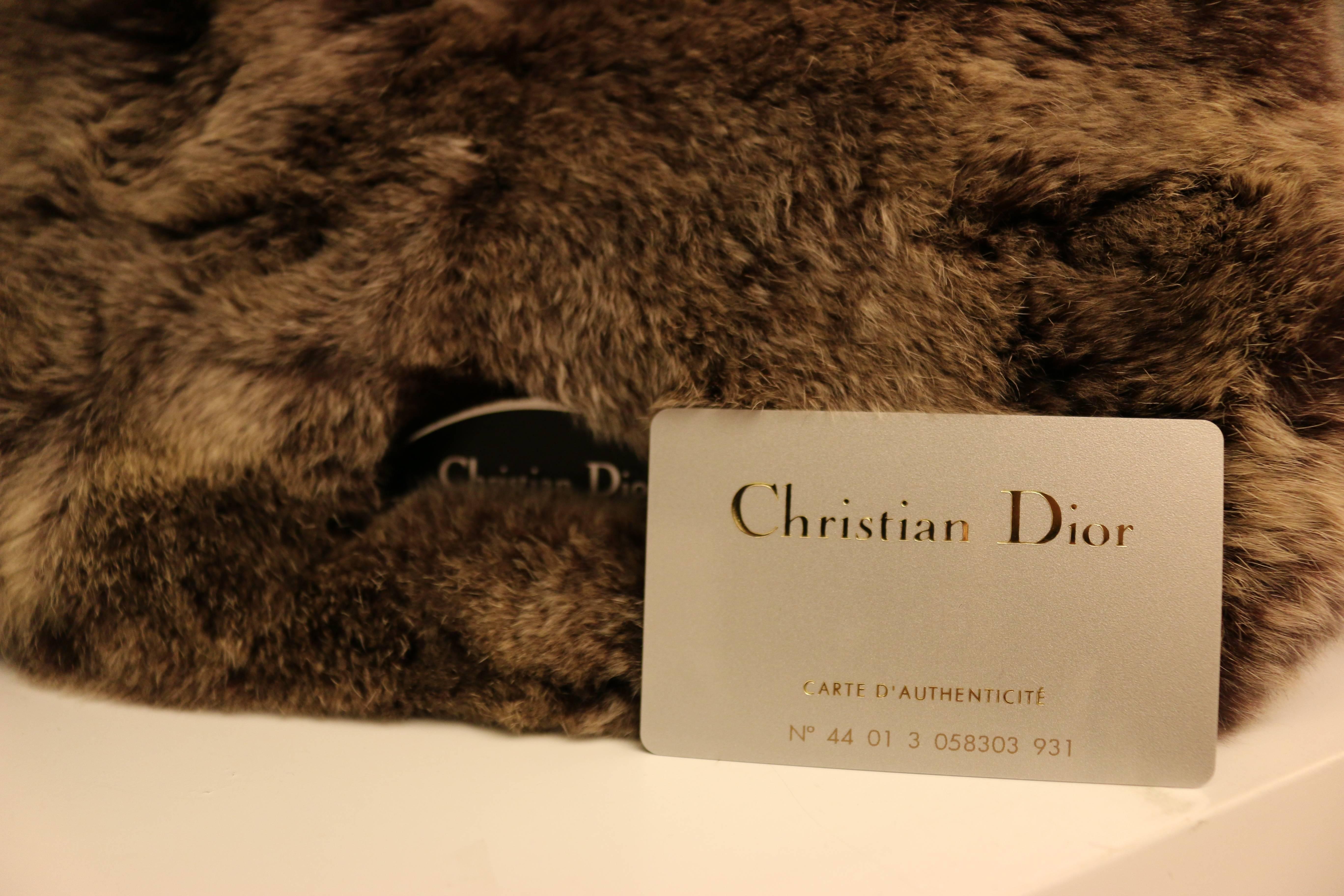 Christian Dior Rabbit Fur Saddle Hobo Bag (Limited Edition) For Sale 1