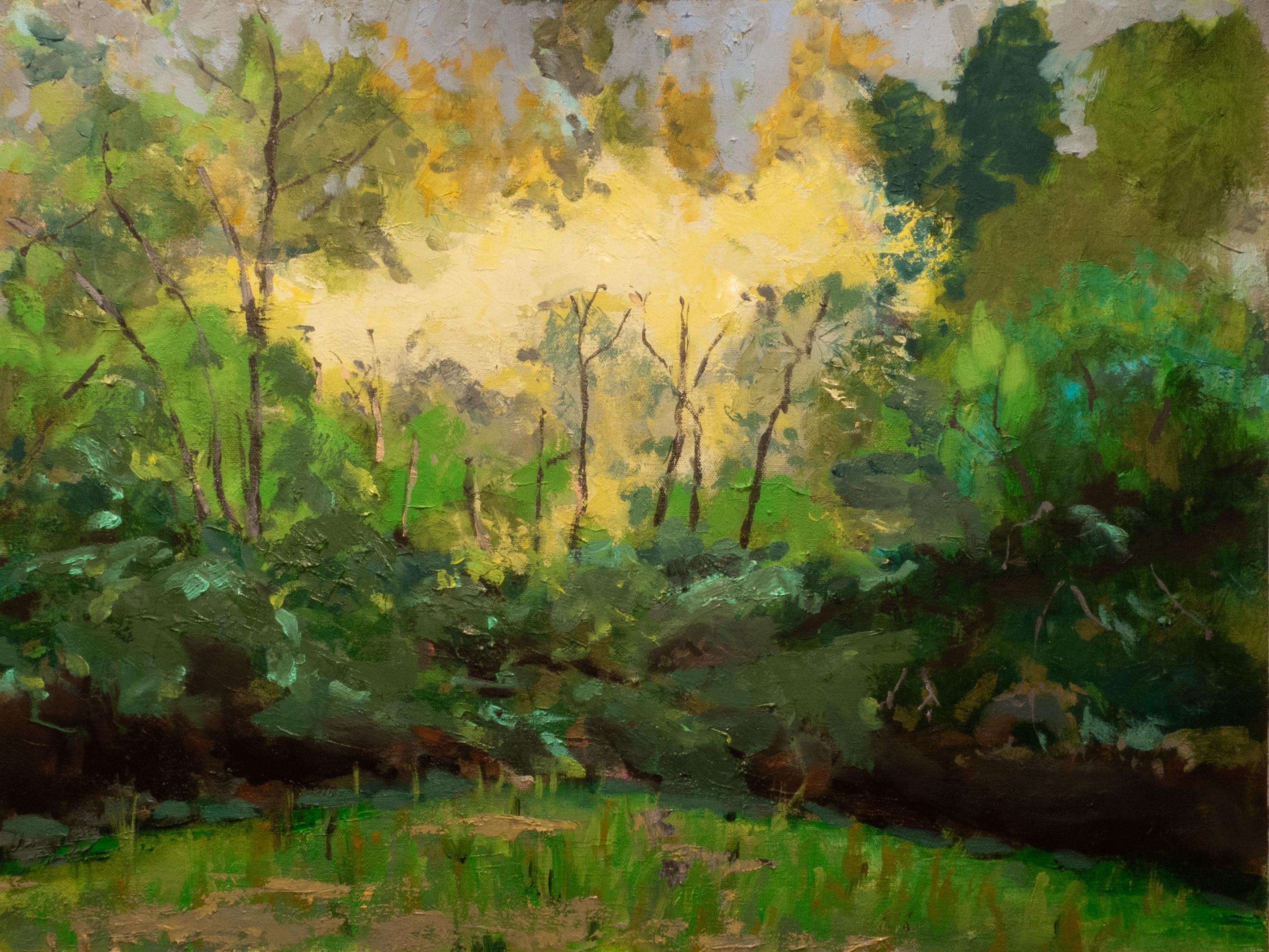 John Gamblin Landscape Painting - Forest Interior No. 5