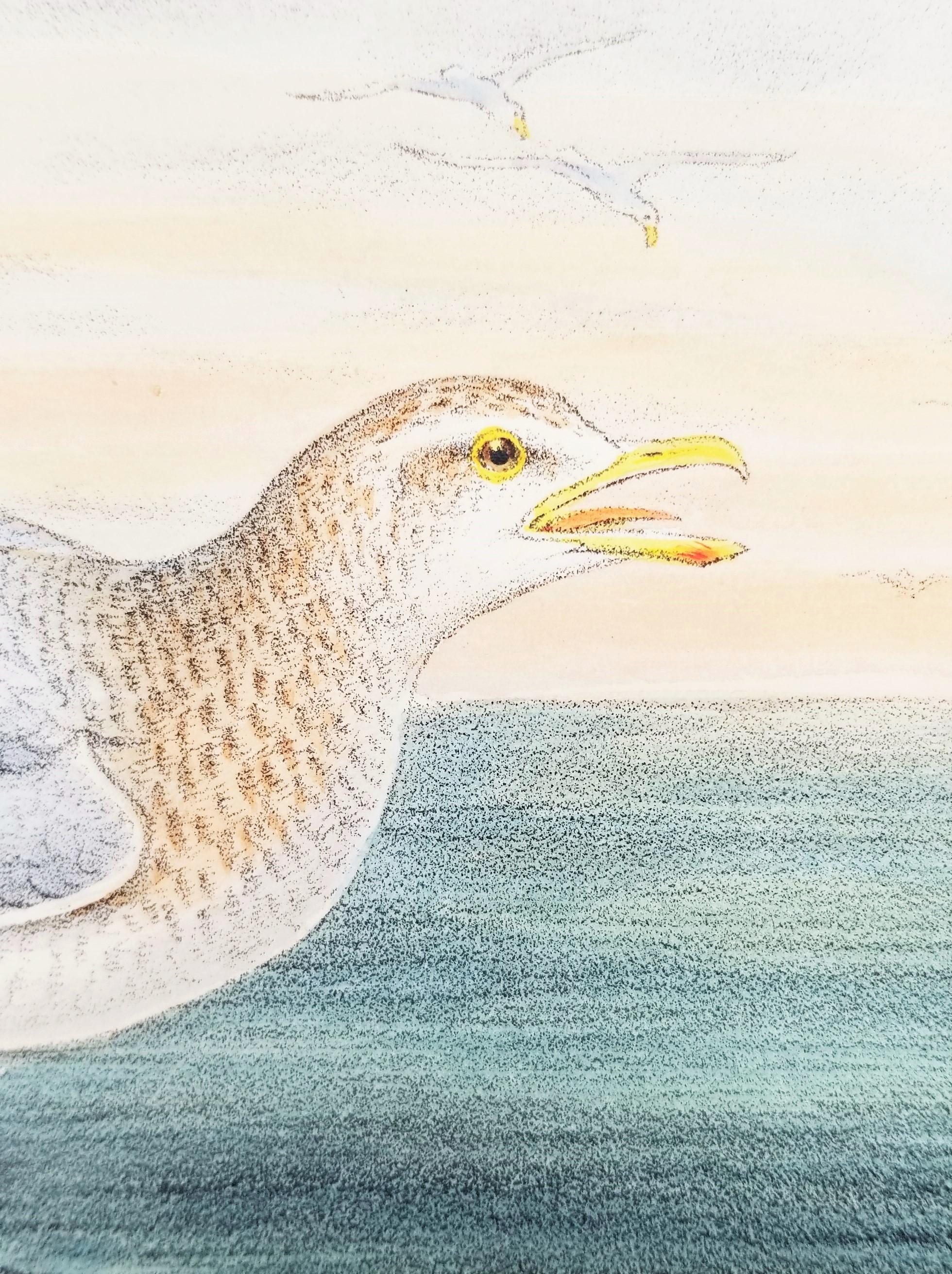 Larus Islandicus (Gabbiano d'Islanda) /// John Gould Ornitologia Uccelli Animali Lito d'Arte in vendita 12