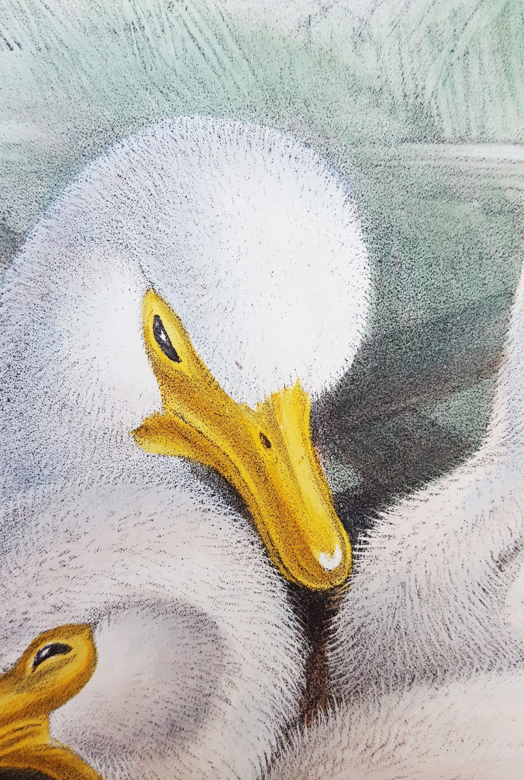 Platalea Leucorodia (Spoonbill) /// Ornithology John Gould Animal Art Shorebird For Sale 11