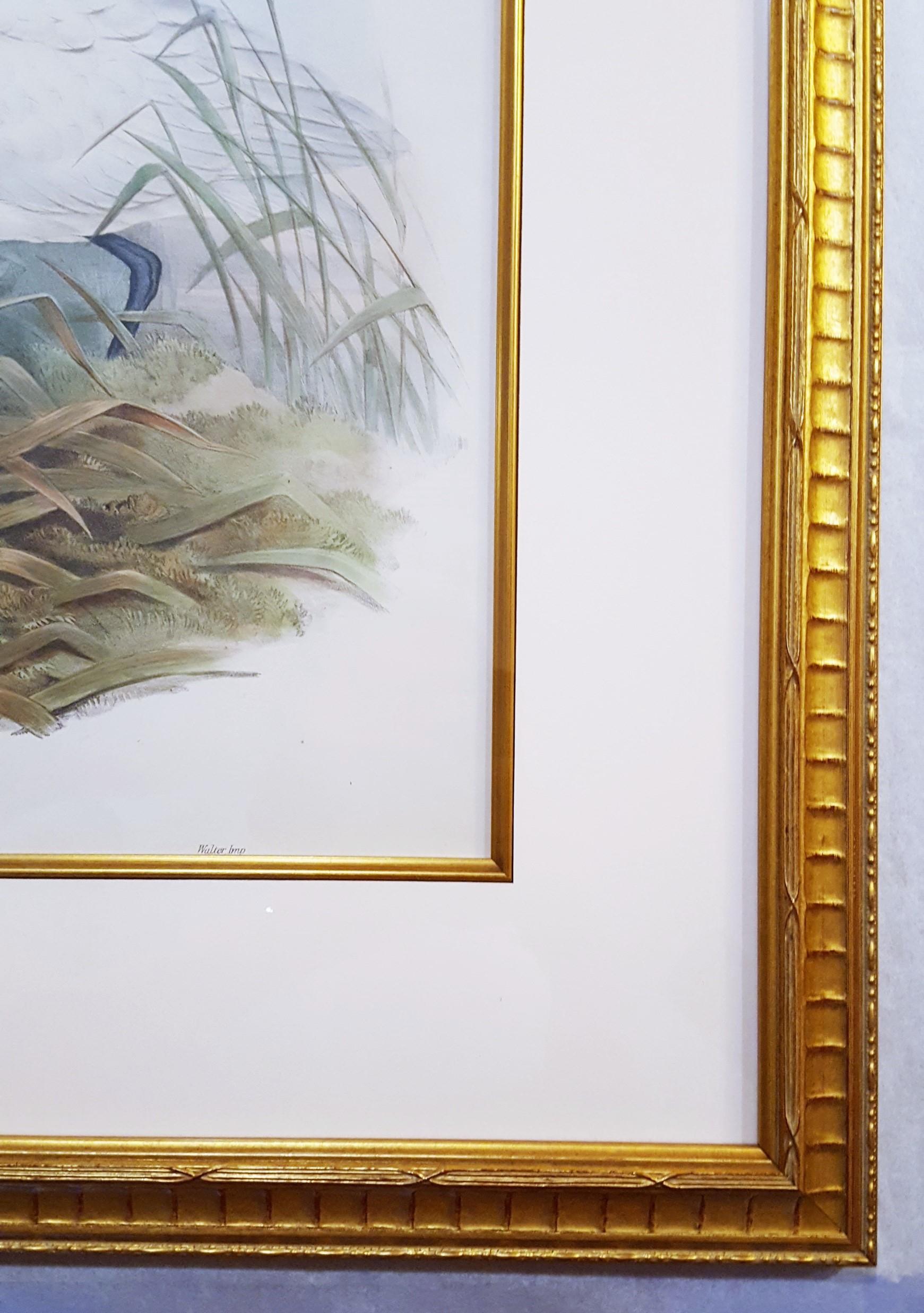 Platalea Leucorodia (Spoonbill) /// Ornithology John Gould Animal Art Shorebird For Sale 5
