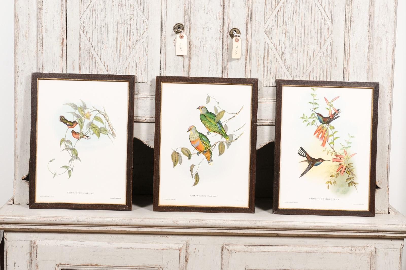 John Gould Tropical Bird Prints in Custom Wooden Frames, 13 Sold Each For Sale 5