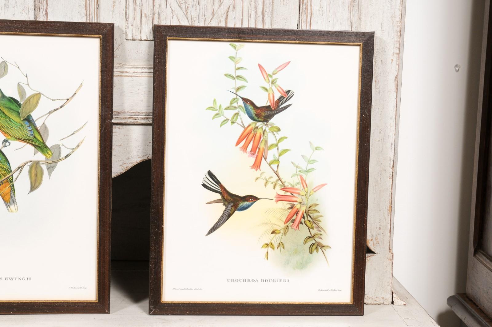 John Gould Tropical Bird Prints in Custom Wooden Frames, 13 Sold Each For Sale 7
