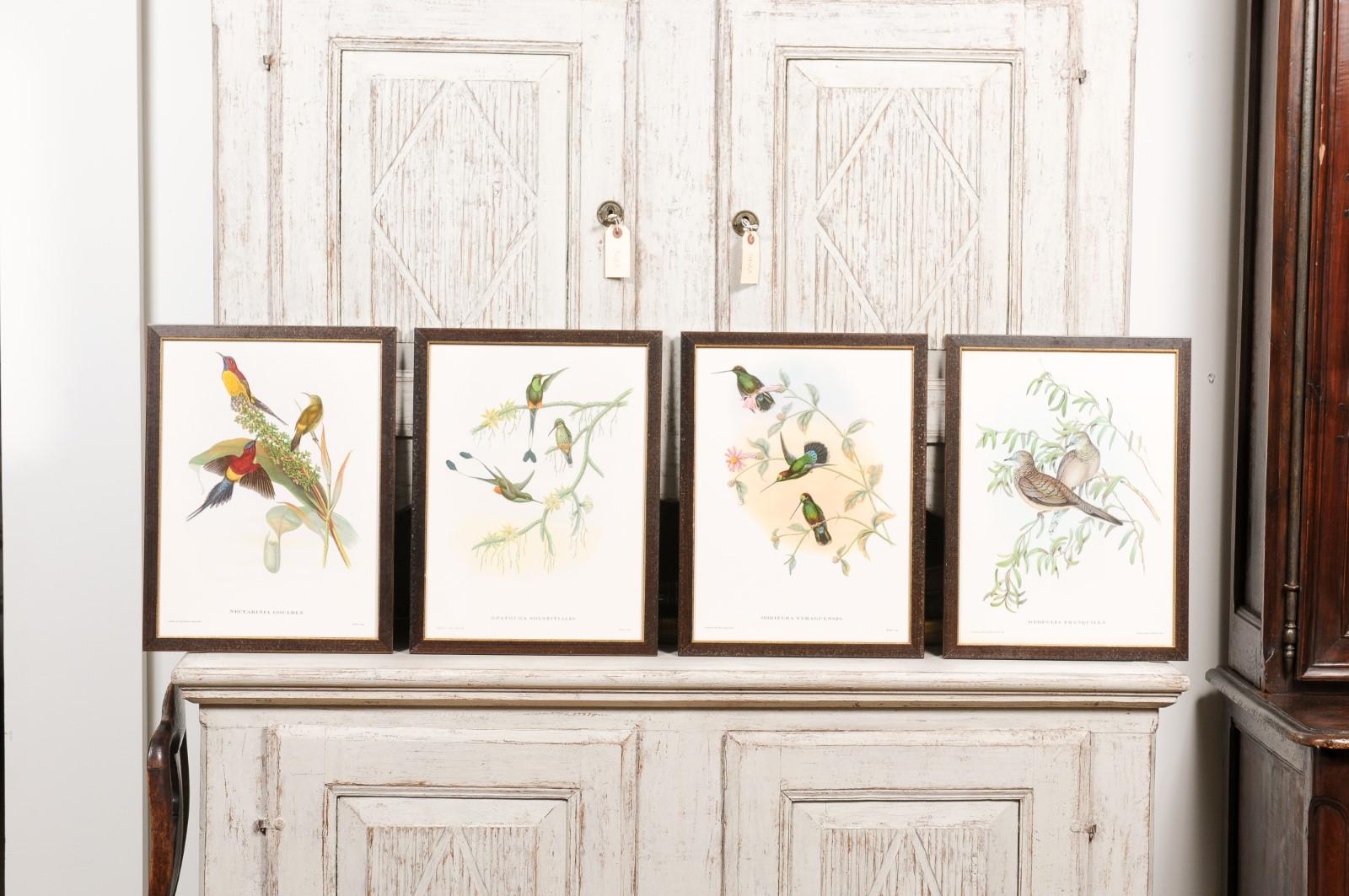 English John Gould Tropical Bird Prints in Custom Wooden Frames, 13 Sold Each For Sale