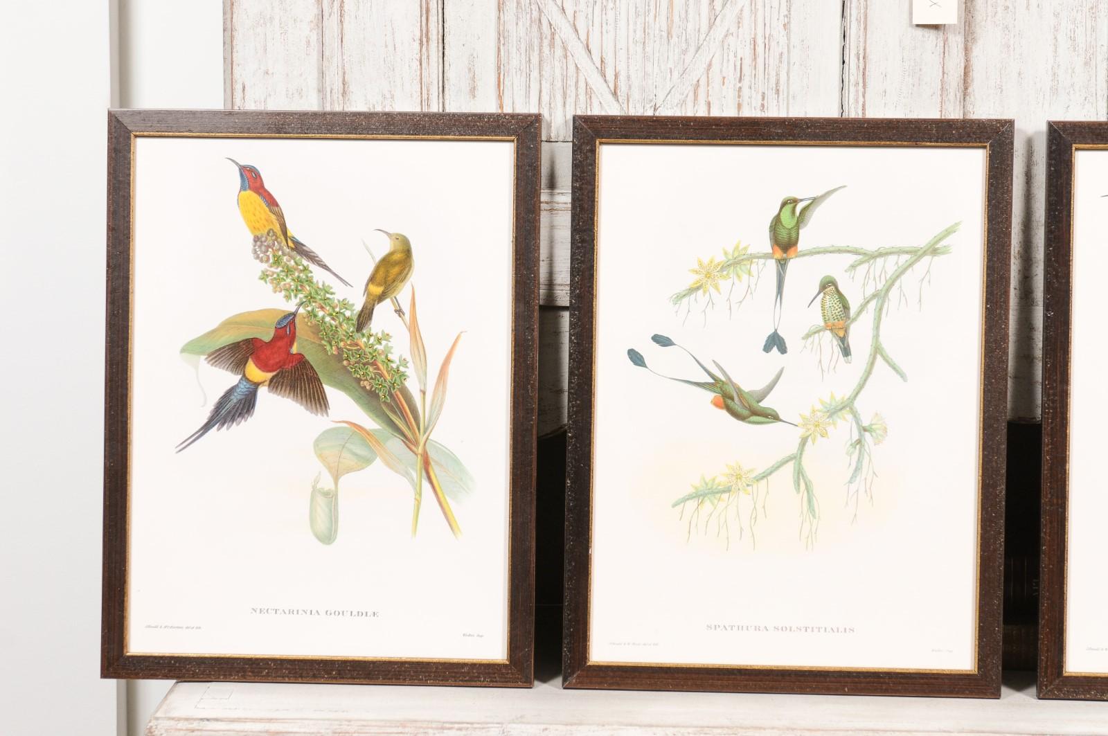 John Gould Tropical Bird Prints in Custom Wooden Frames, 13 Sold Each In Good Condition For Sale In Atlanta, GA