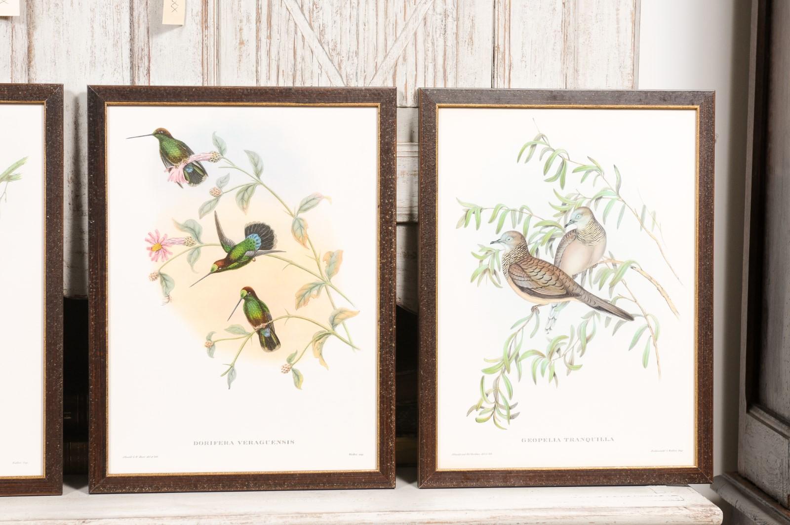 20th Century John Gould Tropical Bird Prints in Custom Wooden Frames, 13 Sold Each For Sale