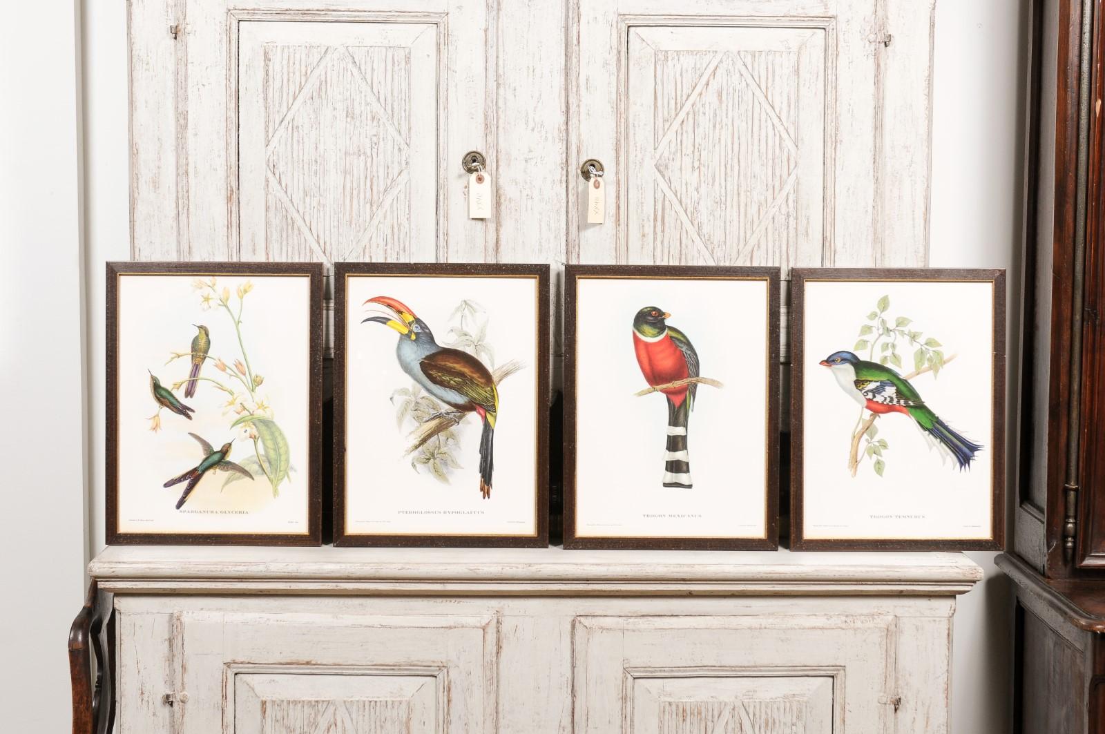 Verre Impressions d'oiseaux tropicaux dans des cadres en bois personnalisés de John Gould, 13 vendues chacune en vente