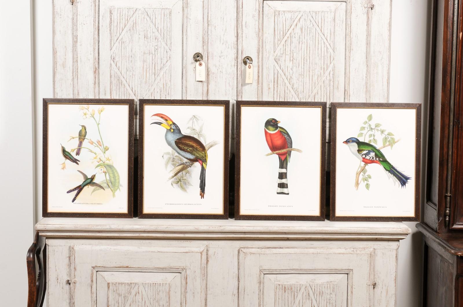 John Gould Tropical Bird Prints in Custom Wooden Frames, 13 Sold Each For Sale 1