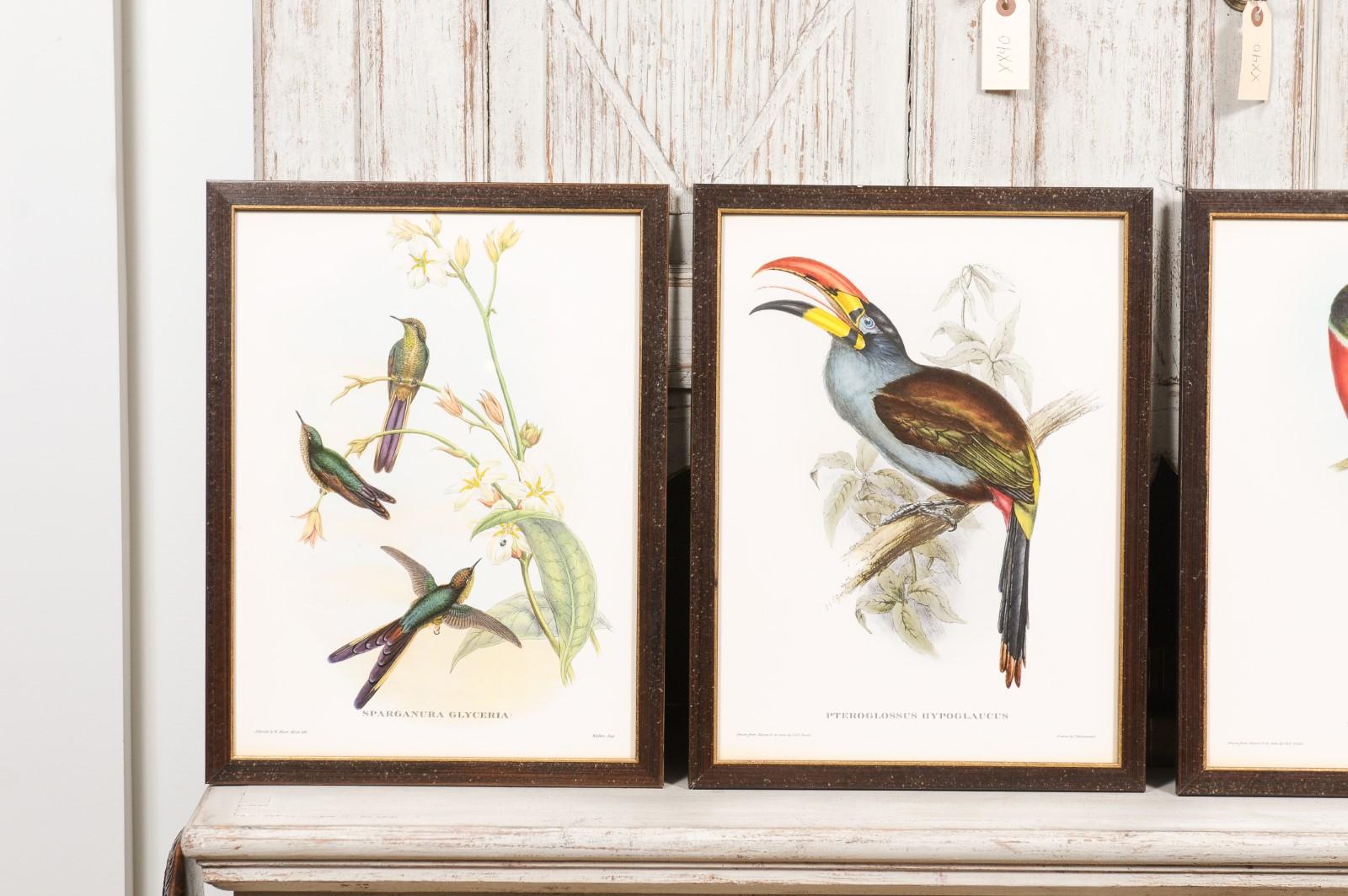 John Gould Tropical Bird Prints in Custom Wooden Frames, 13 Sold Each For Sale 2