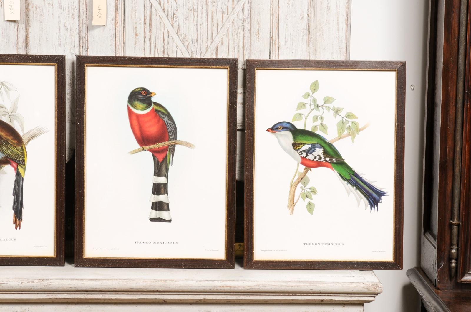 John Gould Tropical Bird Prints in Custom Wooden Frames, 13 Sold Each For Sale 3