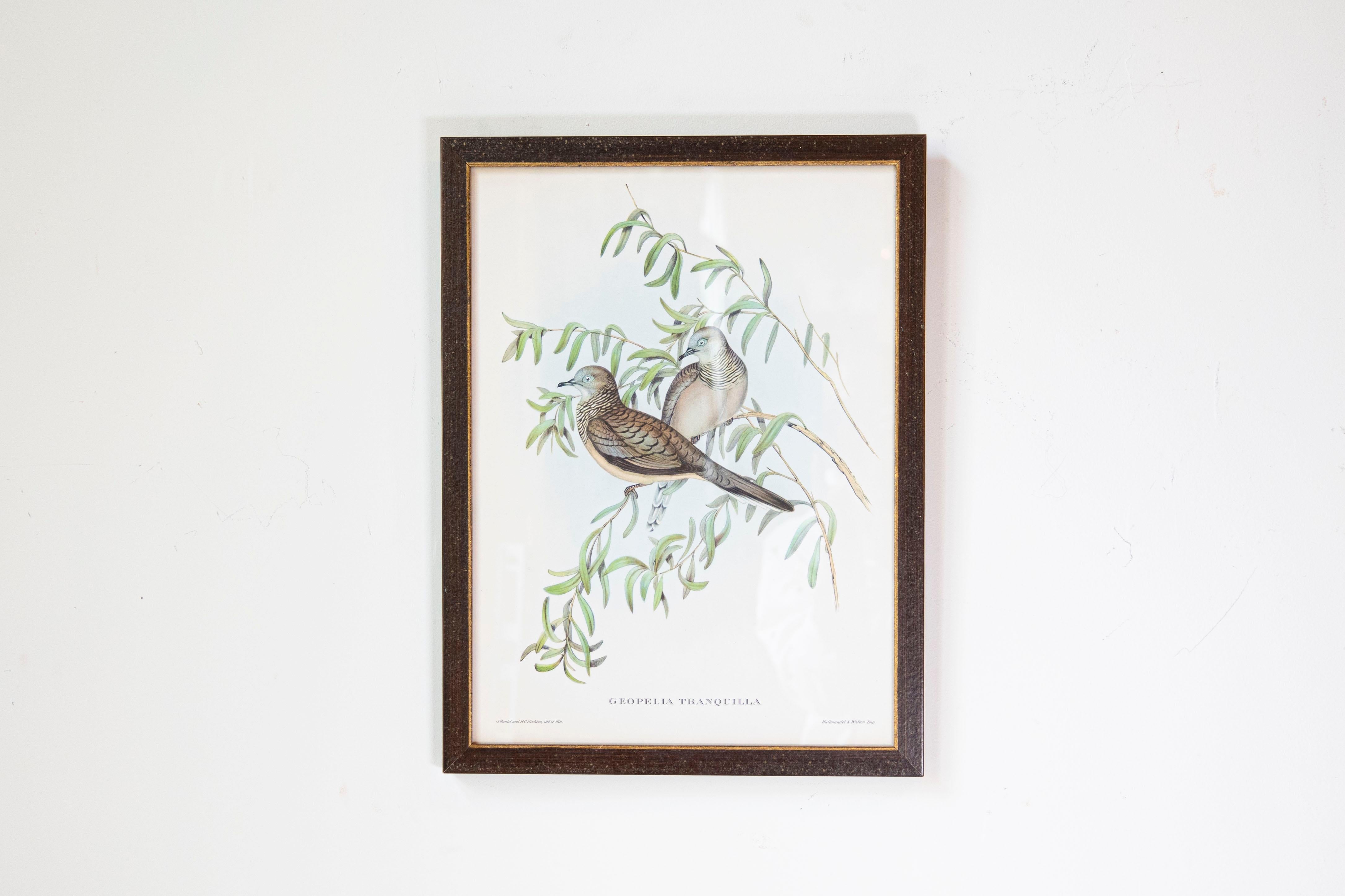 John Gould Tropical Bird Prints in Custom Wooden Frames, 7 Sold Each In Good Condition For Sale In Atlanta, GA