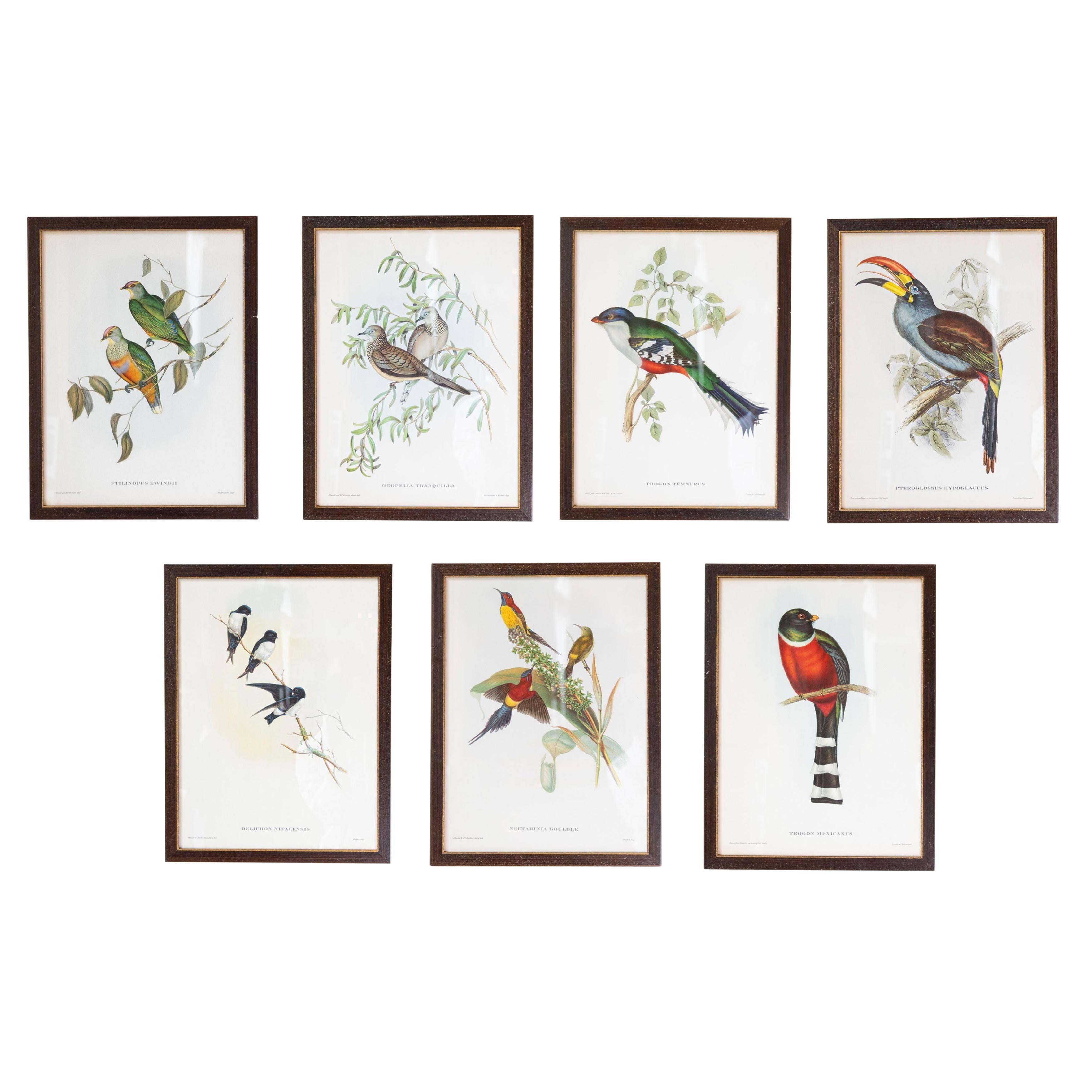 Impressions d'oiseaux tropicaux dans des cadres en bois personnalisés de John Gould, 7 vendues chacune
