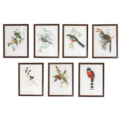 John Gould Tropical Bird Prints in Custom Wooden Frames, 7 Sold Each