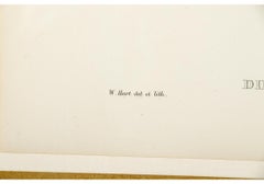 John Gould & William M. Hart, Color Lithograph, Diphlogaena Hesperus, Gould
