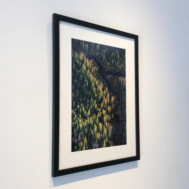 Framed aerial landscape photograph of pine green forest and warm yellow sunset
''Autumn Tamaracks & Sunset'
Archival digital print, Edition of 25 
Image size 18 X 12 inches unframed
24.25 X 18.25 inches in black frame and white 8-ply mat
Additional
