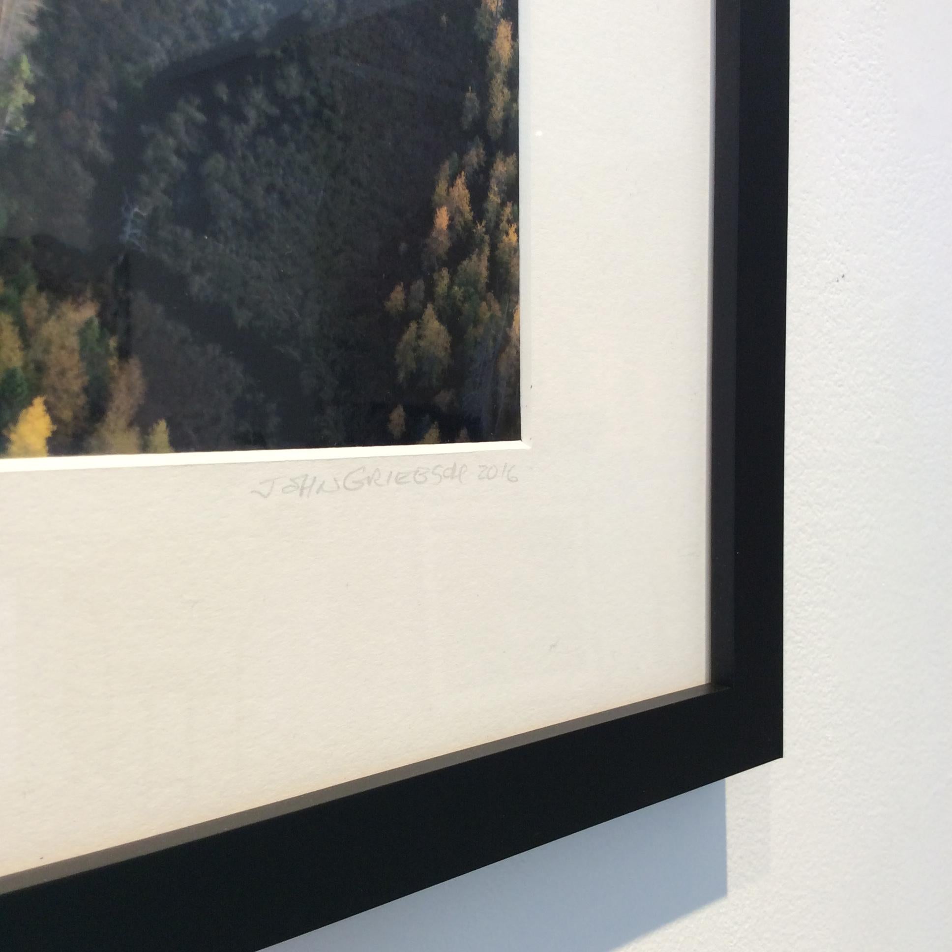 Framed aerial landscape photograph of pine green forest and warm yellow sunset
''Autumn Tamaracks & Sunset'
Archival digital print, Edition of 25 
Image size 18 X 12 inches unframed
24.25 X 18.25 inches in black frame and white 8-ply mat
Additional