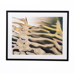 Underwater Dunes (Aerial Landscape Photograph of Ocean & Sand Dunes)