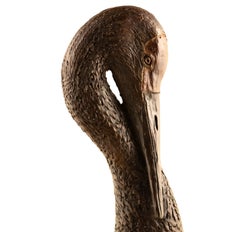 Coy Crane