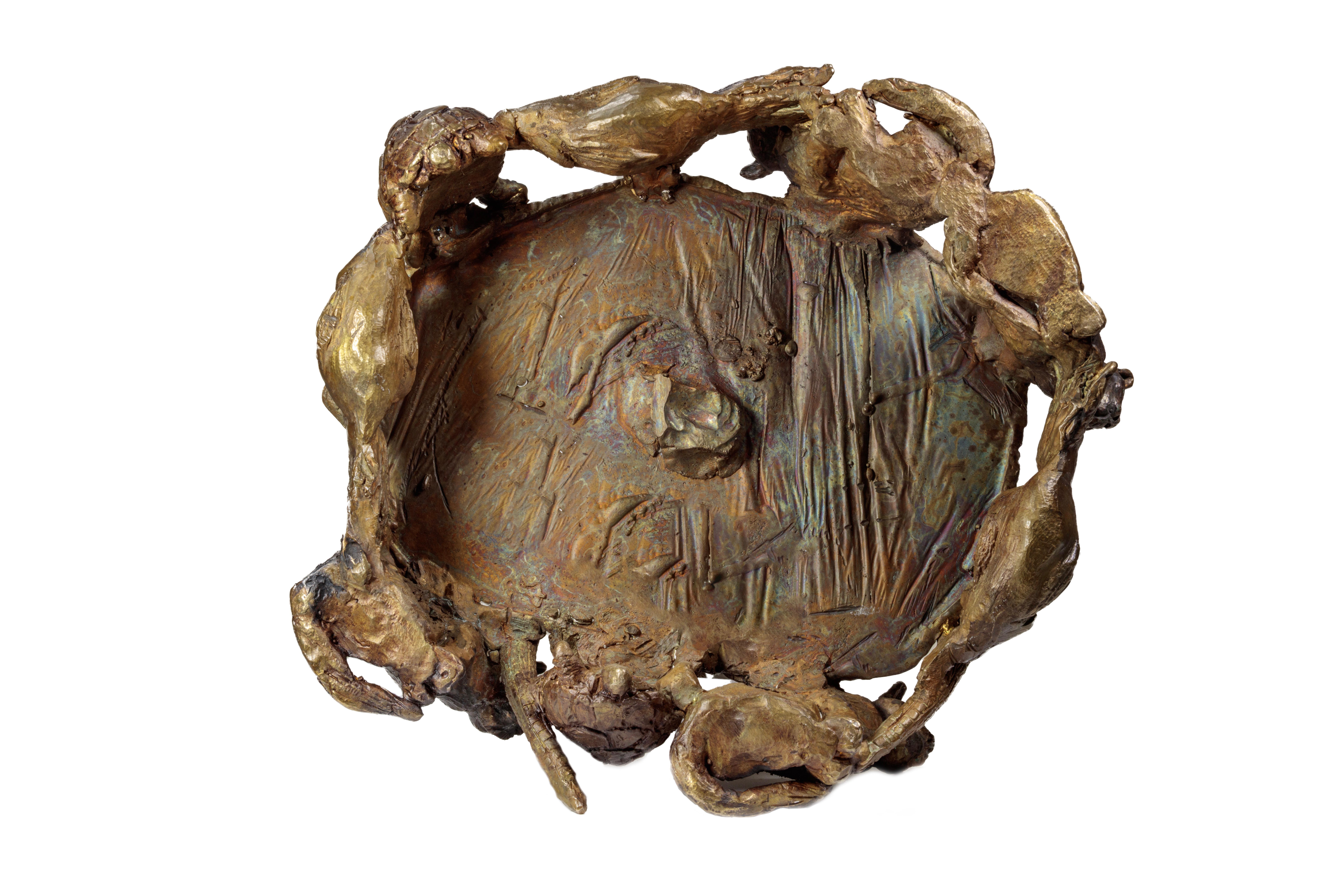 Goldfish, Cat, Turtle, Alligator (DNA) For Sale 8