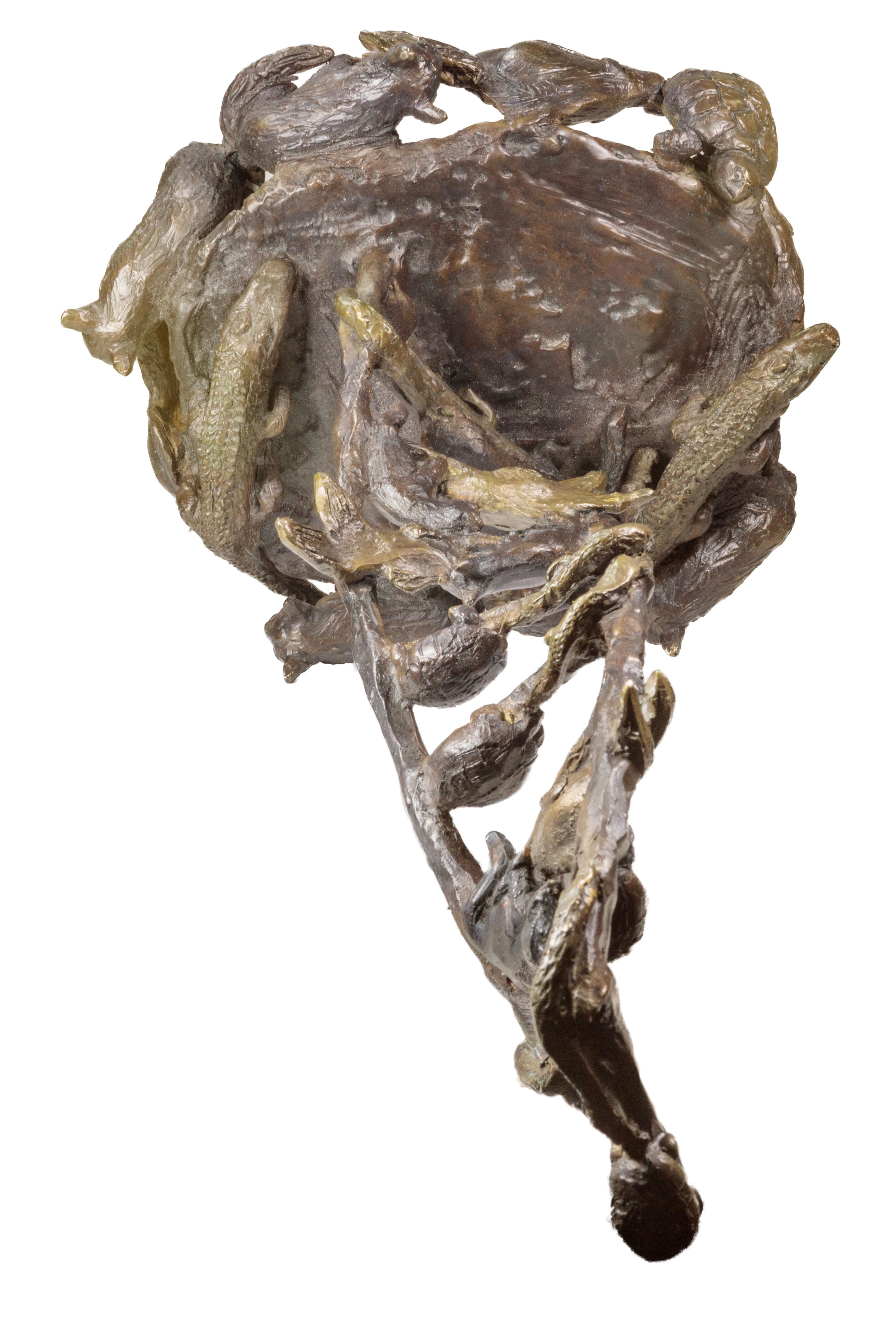 Goldfish, Cat, Turtle, Alligator (DNA) For Sale 9