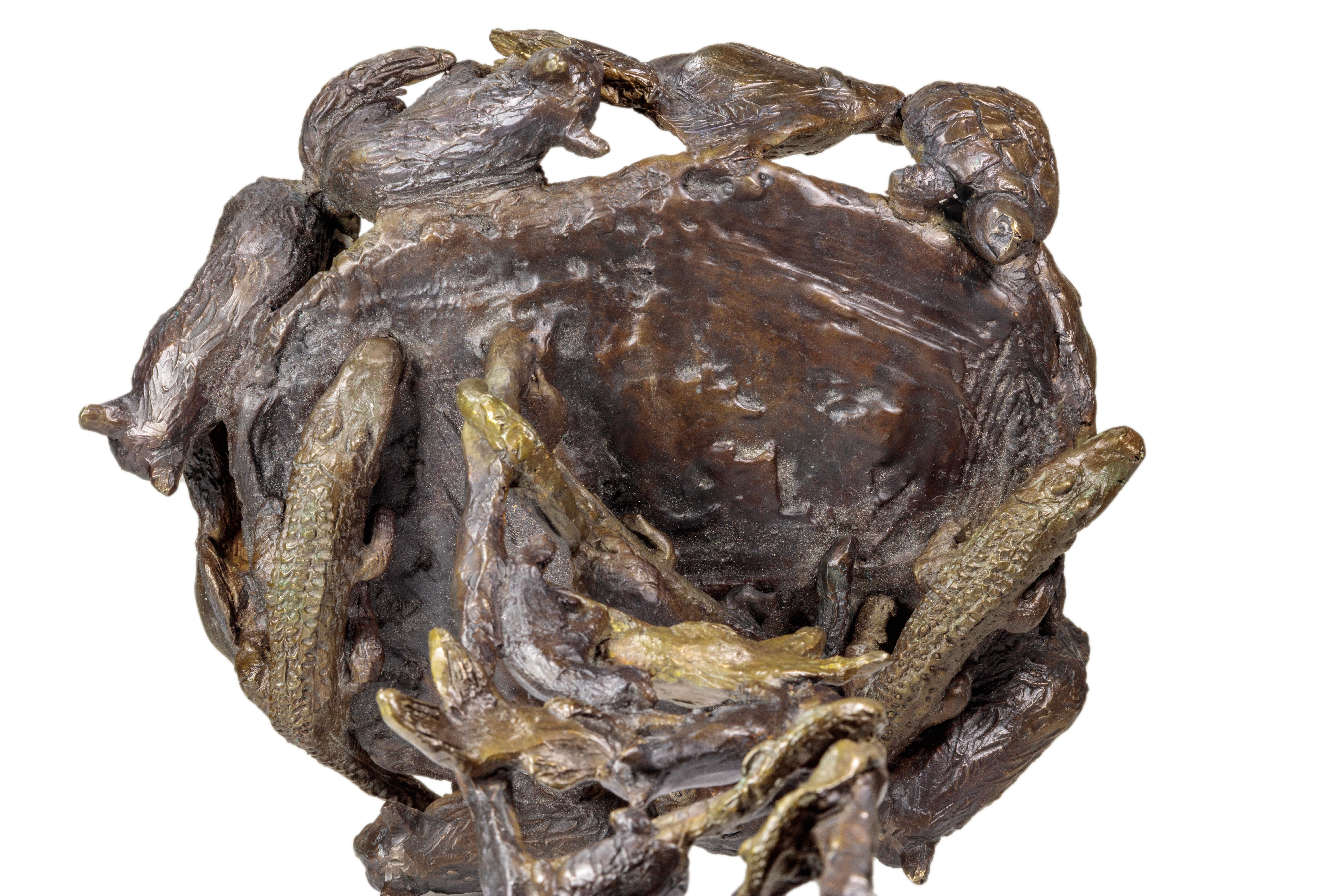 Goldfish, Cat, Turtle, Alligator (DNA) For Sale 10