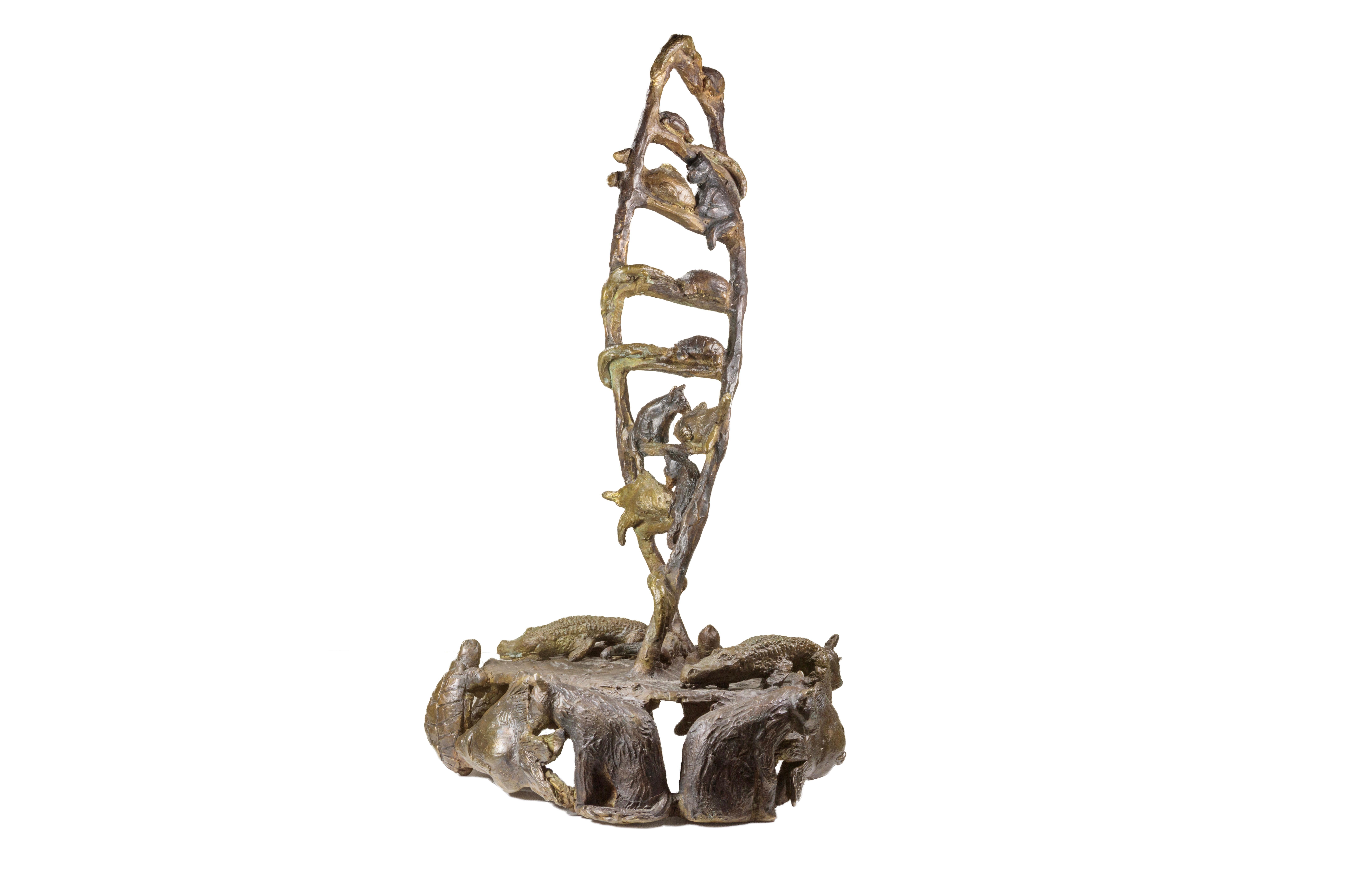 Goldfish, Cat, Turtle, Alligator (DNA) For Sale 1