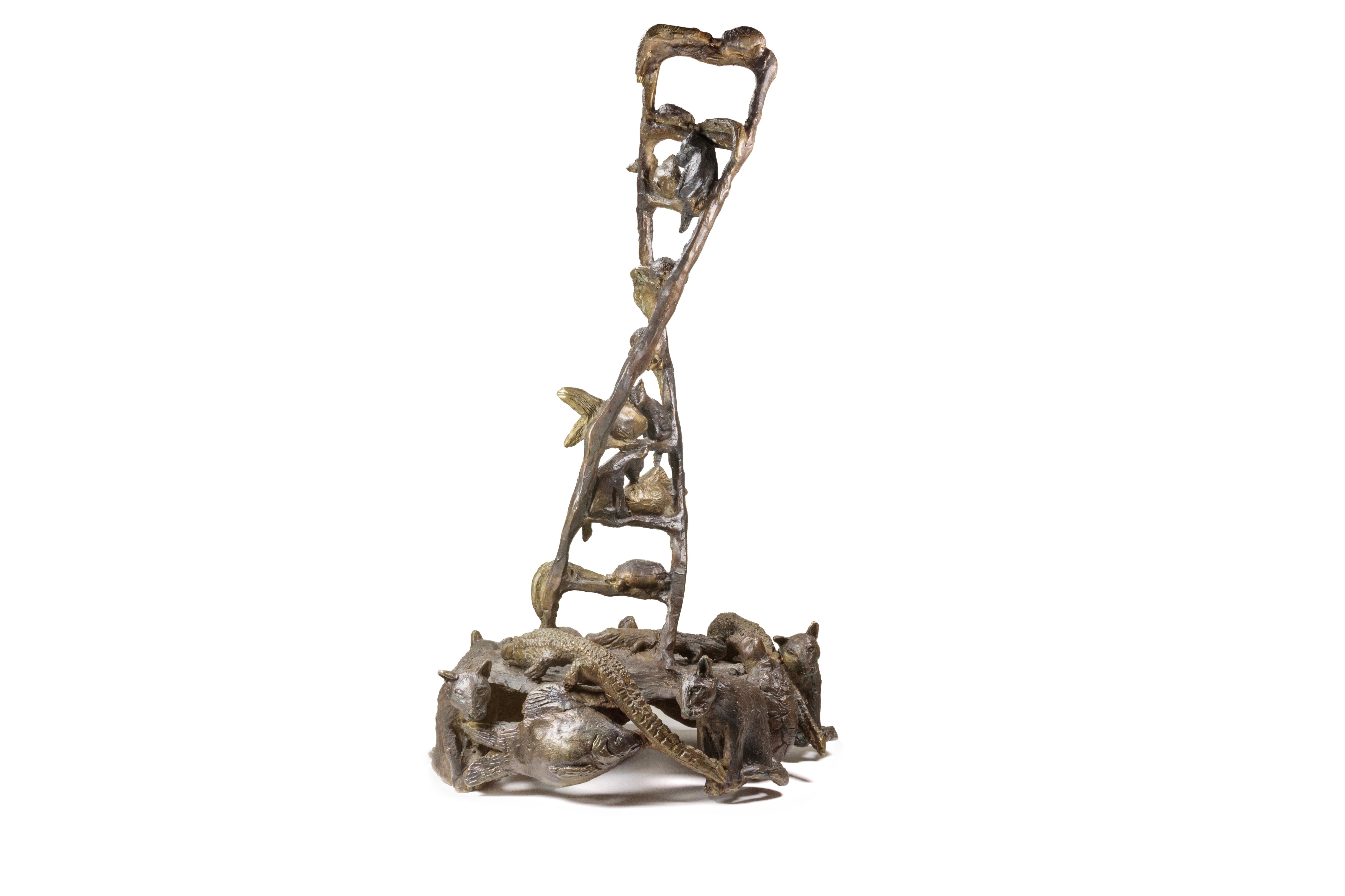 Goldfish, Cat, Turtle, Alligator (DNA) For Sale 2